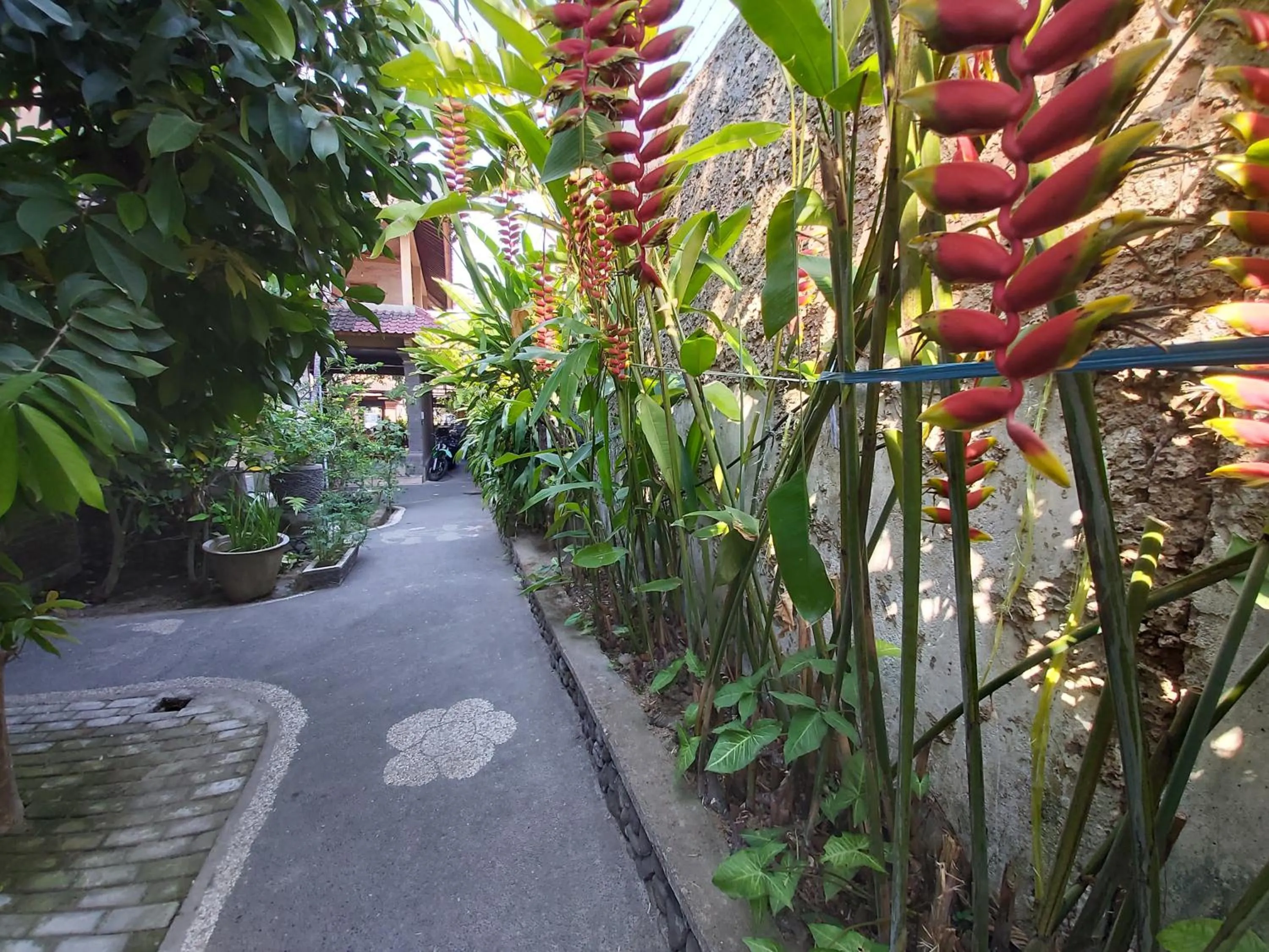 Garden in Cafe Wayan Cottages Senggigi