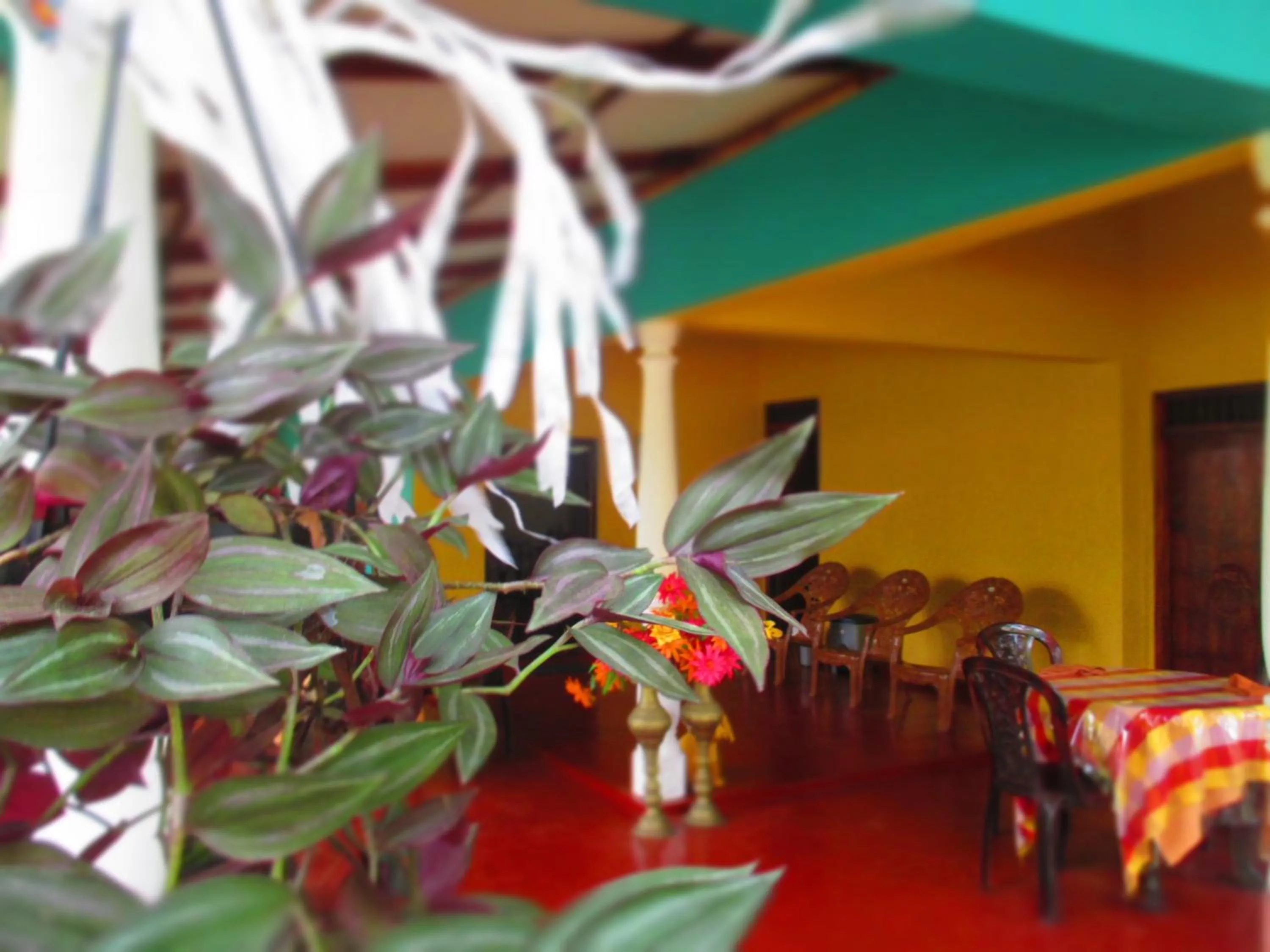 Property building in Palitha Homestay