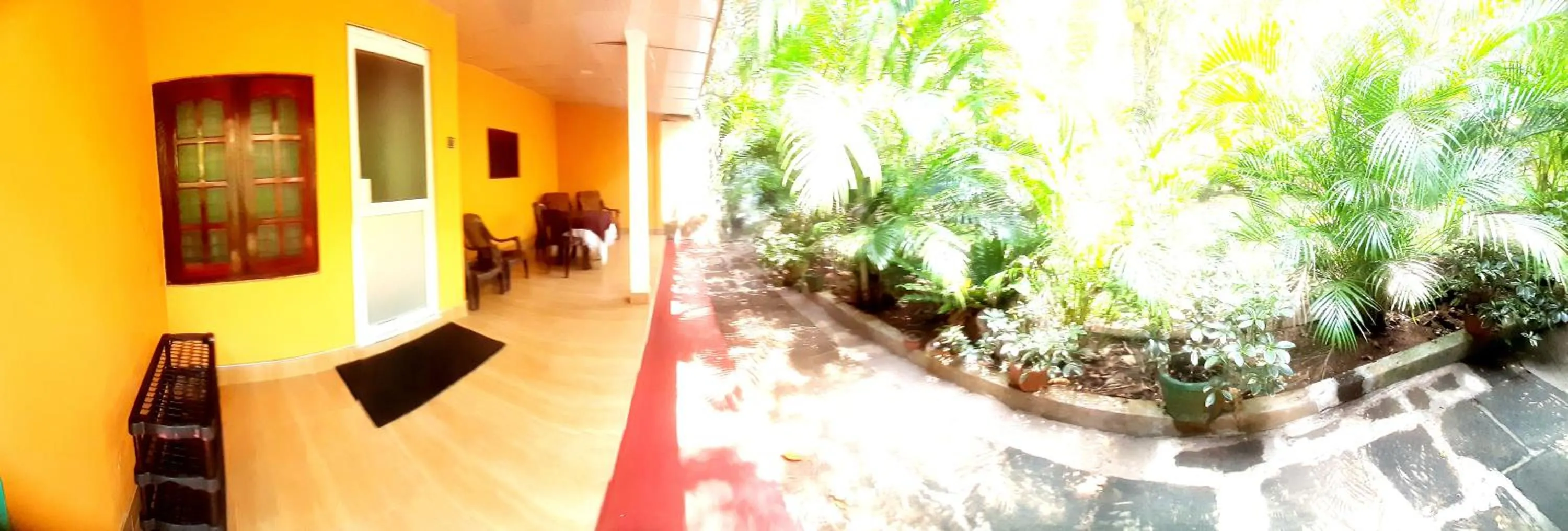 Garden in Palitha Homestay