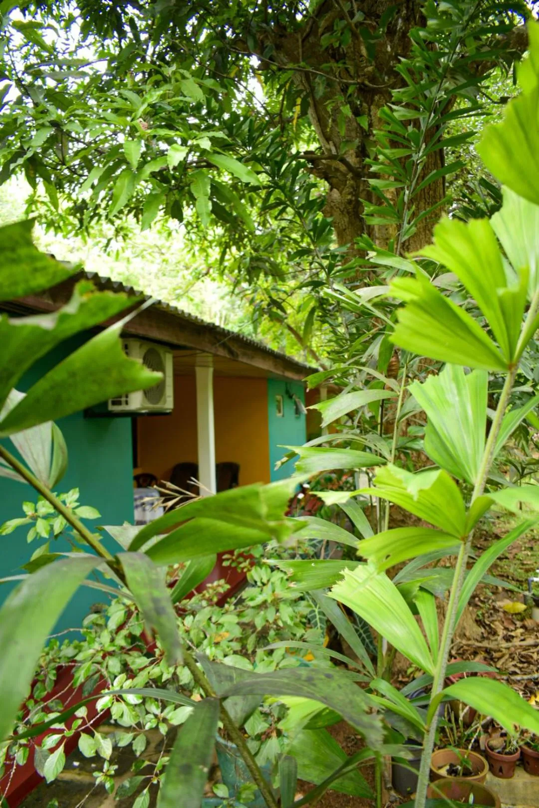 Property building in Palitha Homestay