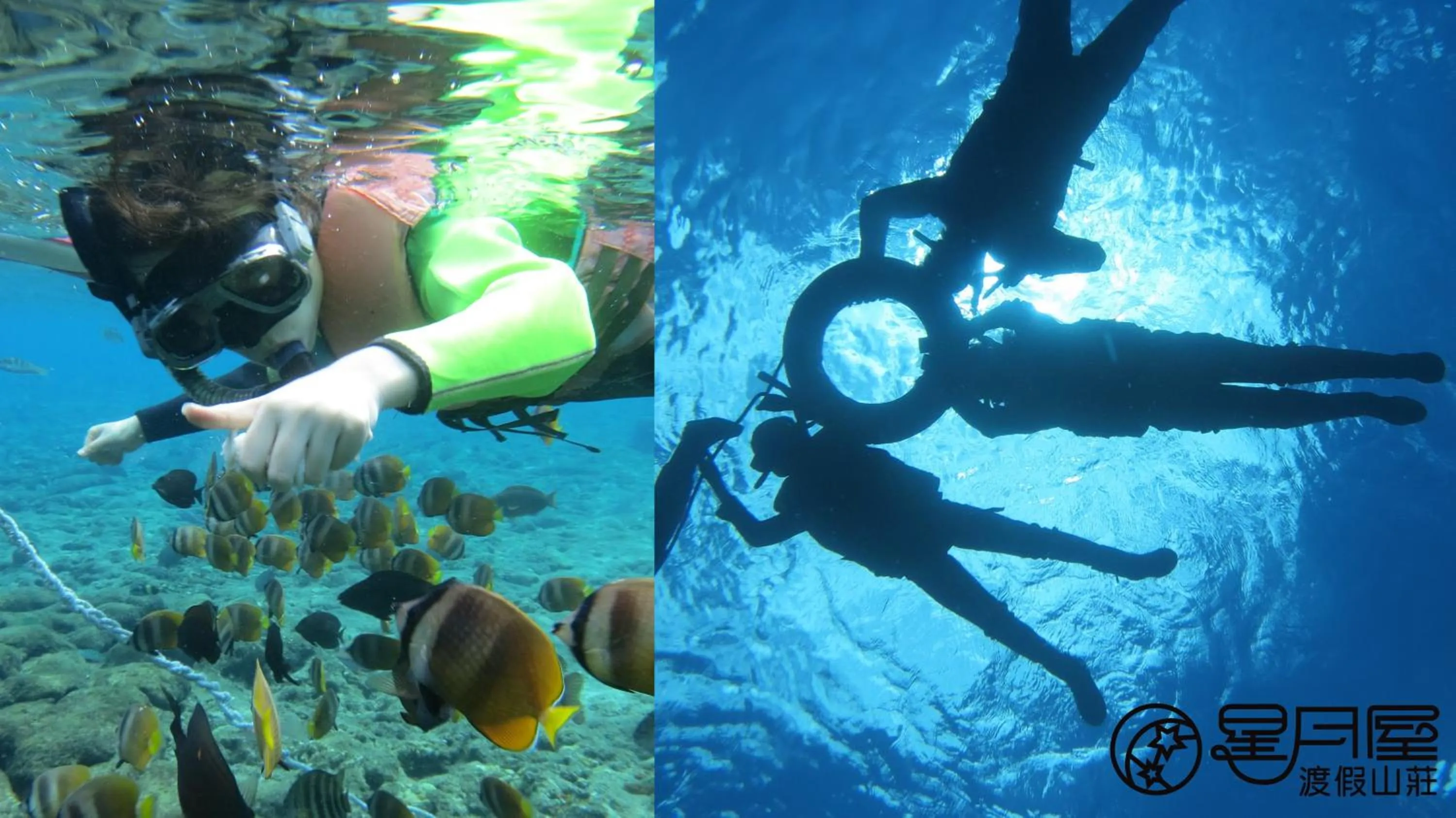 Diving in Star-Moon B&B Green Island