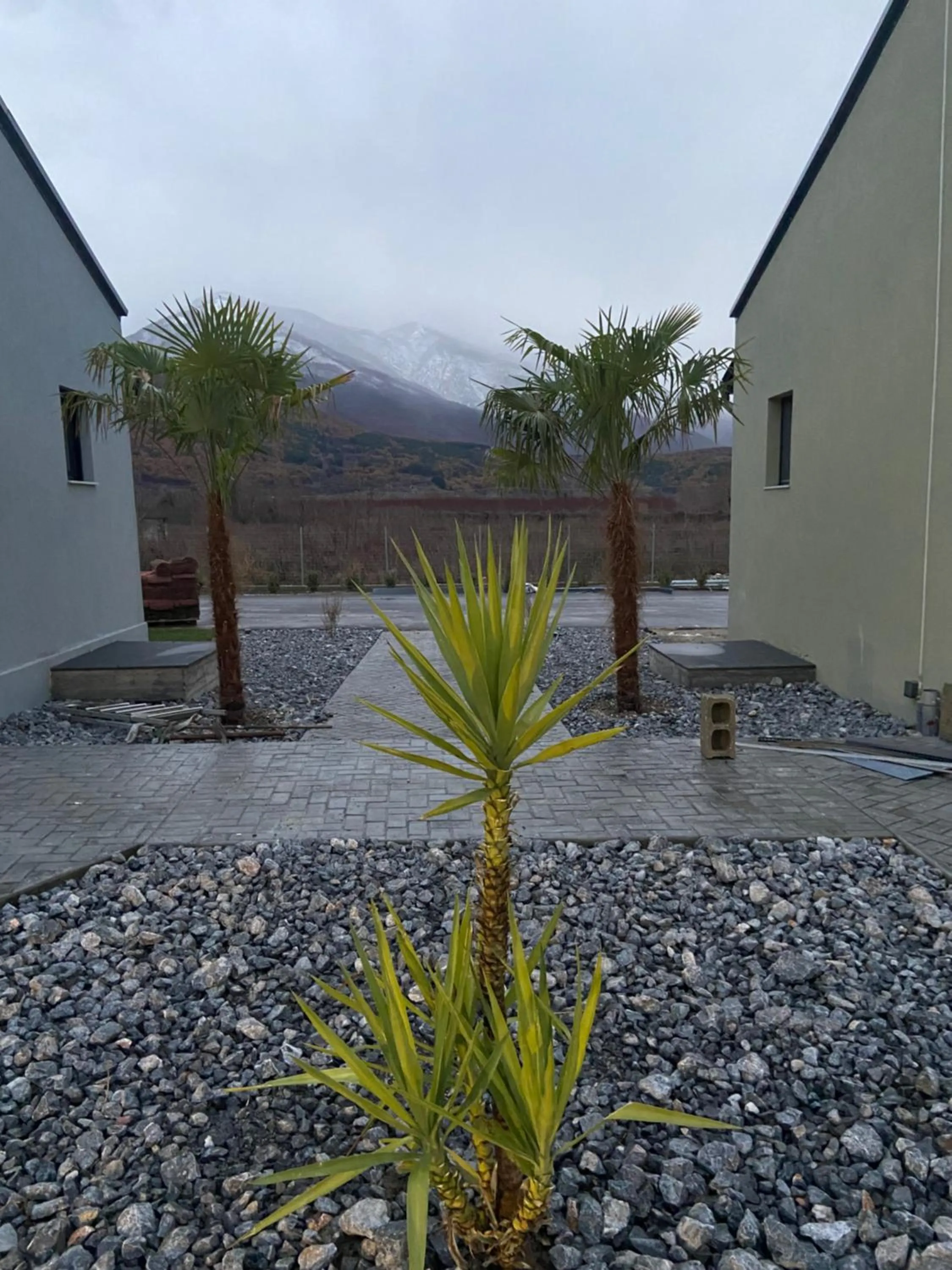 Natural landscape in THE ROOMS