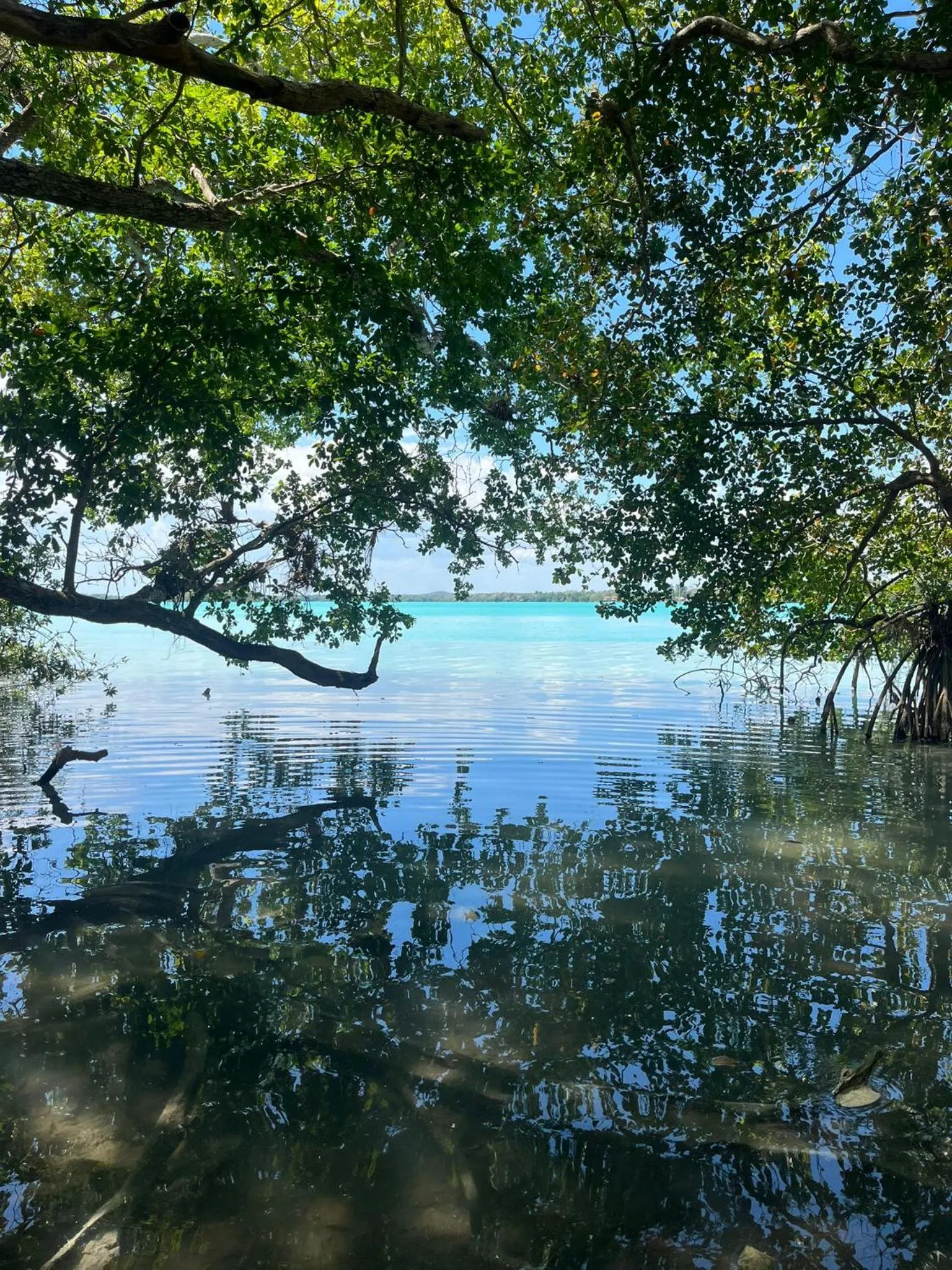 Day in Xanthus Hotel