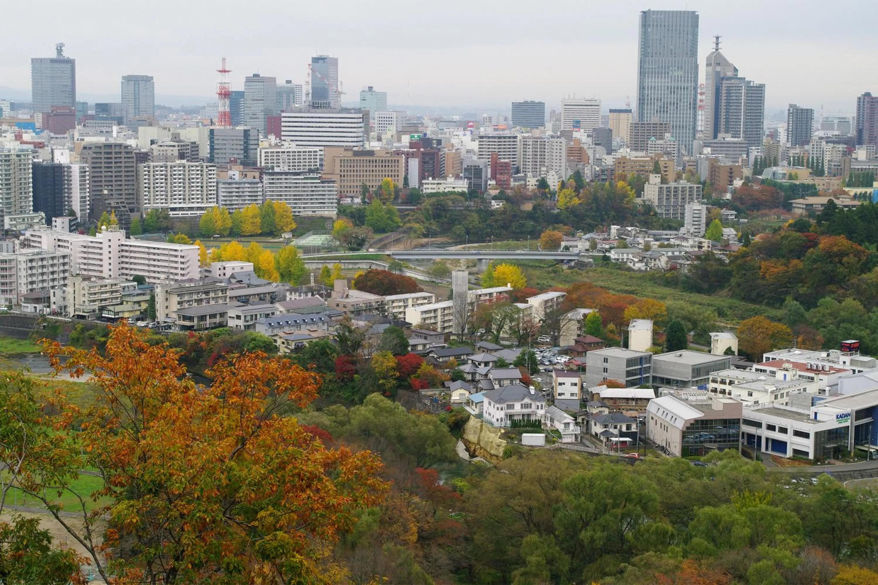 Other in Hotel Green Arbor