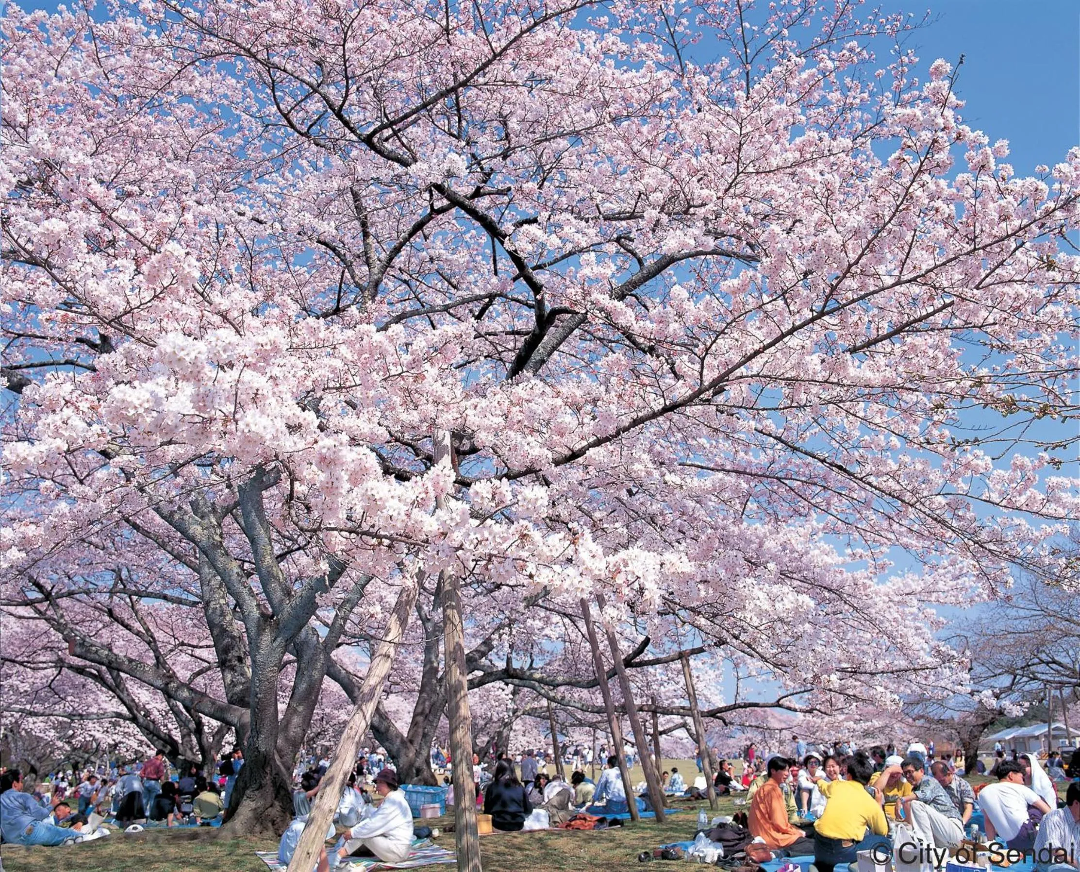 Nearby landmark in Hotel Green Arbor