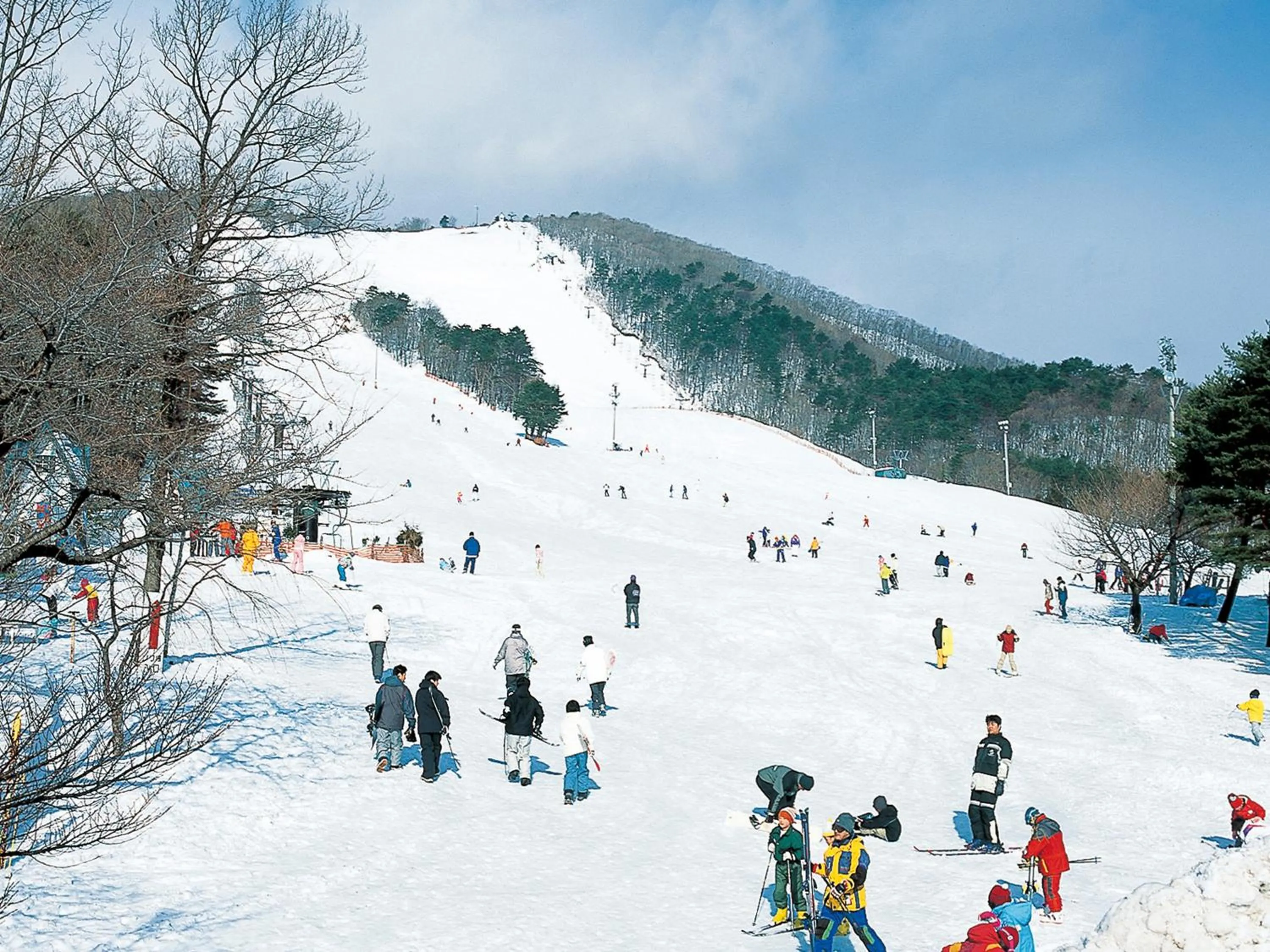 Location in Hotel Green Arbor