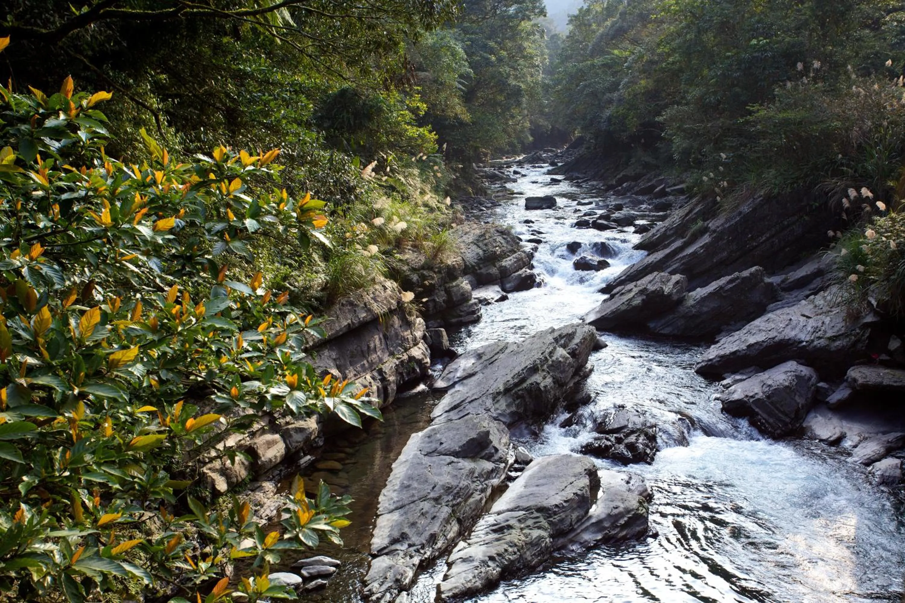 View (from property/room) in Spring Spa Hotel