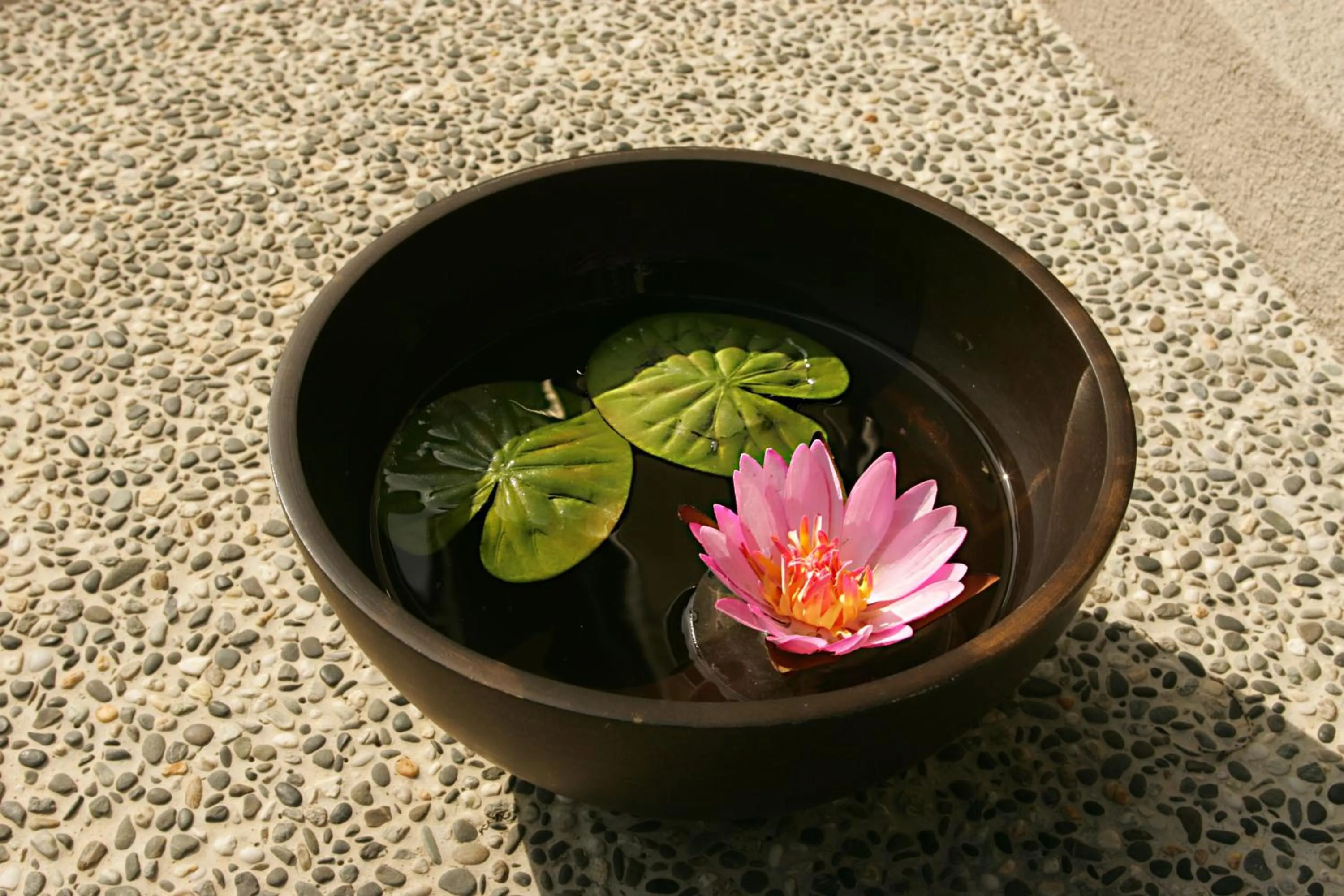 Other in Spring Spa Hotel