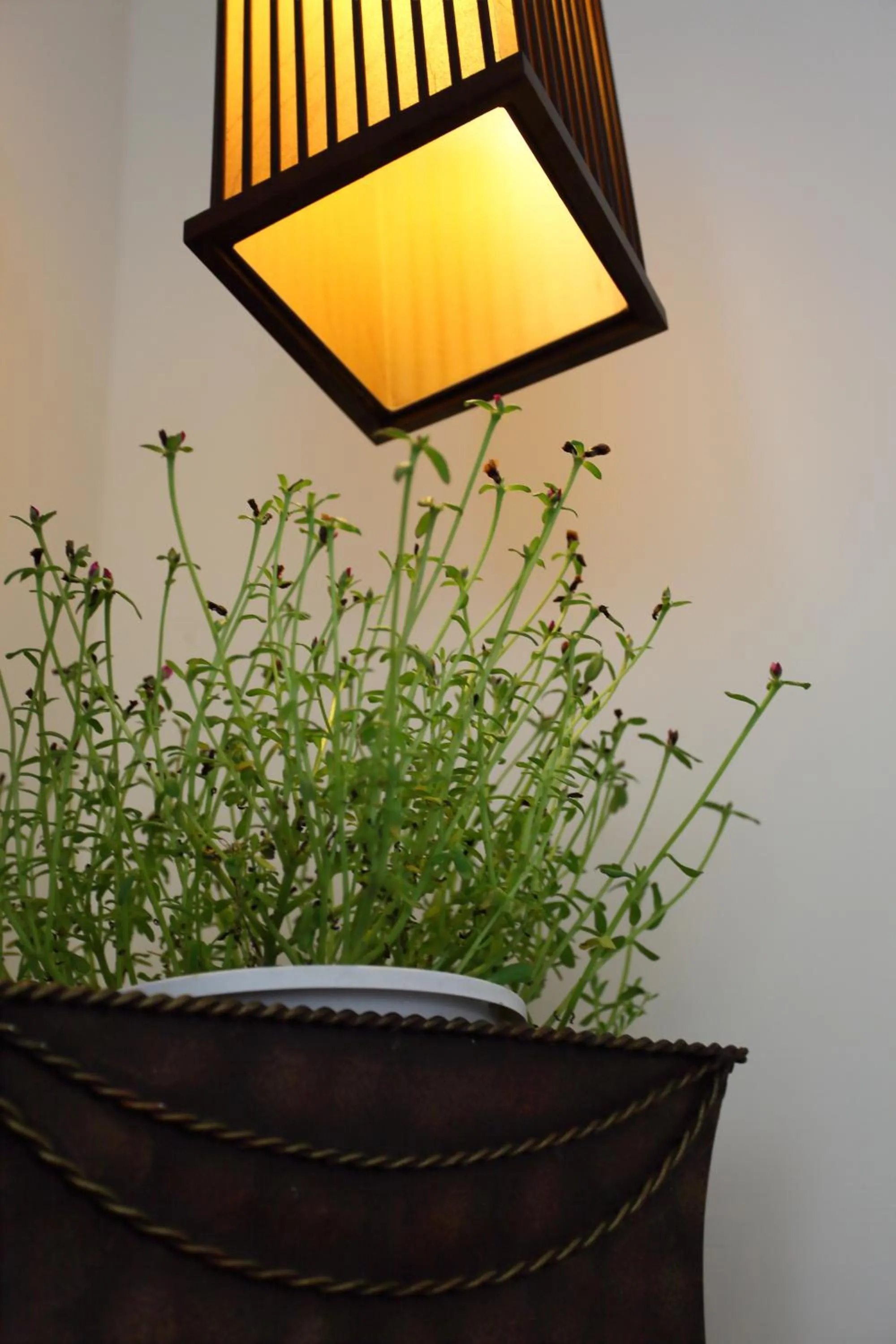 Lobby or reception in Spring Spa Hotel