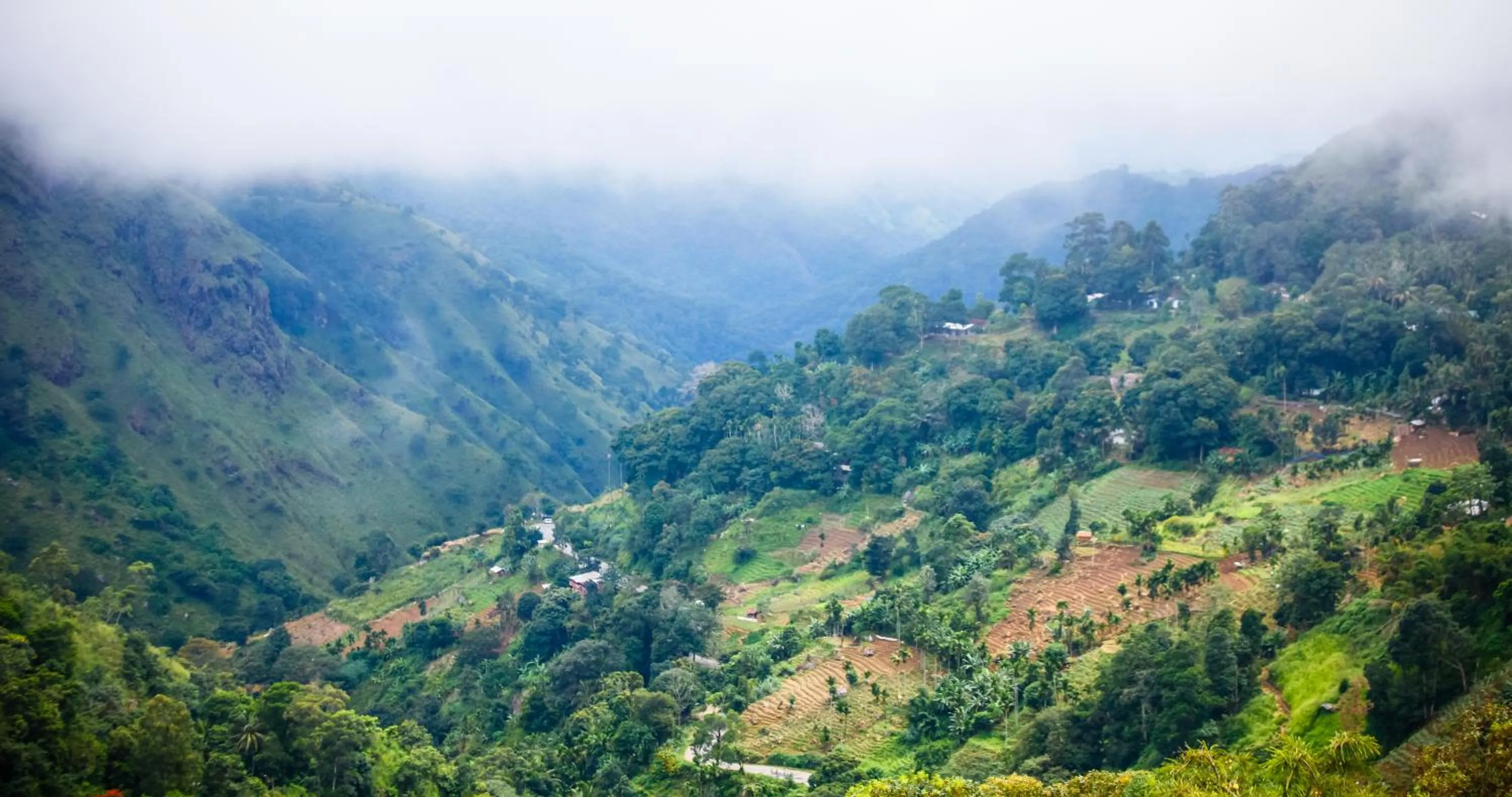 Nearby landmark in Ella Ecolodge