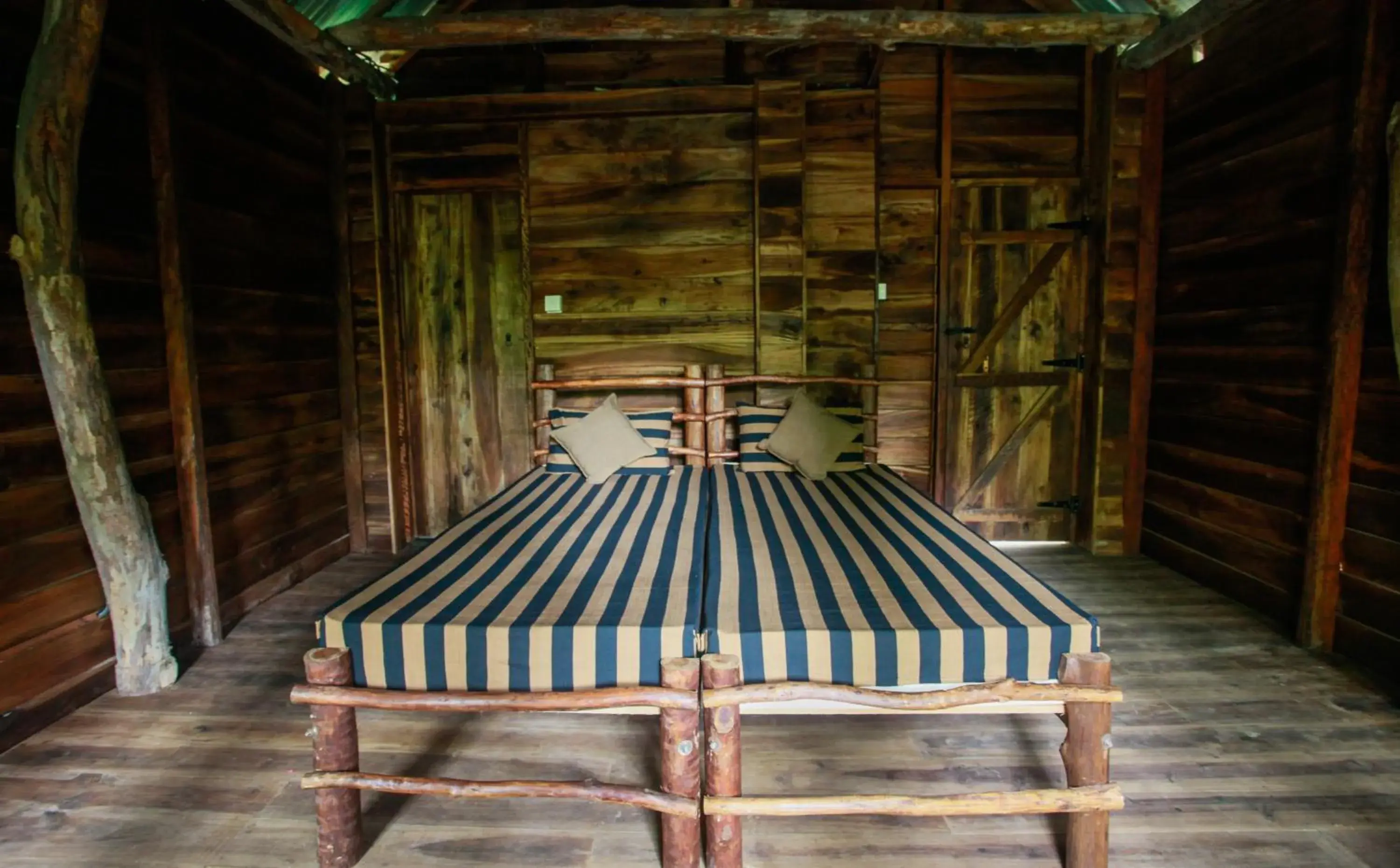 Double or Twin Room with Mountain View in Ella Ecolodge Double or Twin Room with Mountain View in Ella Ecolodge