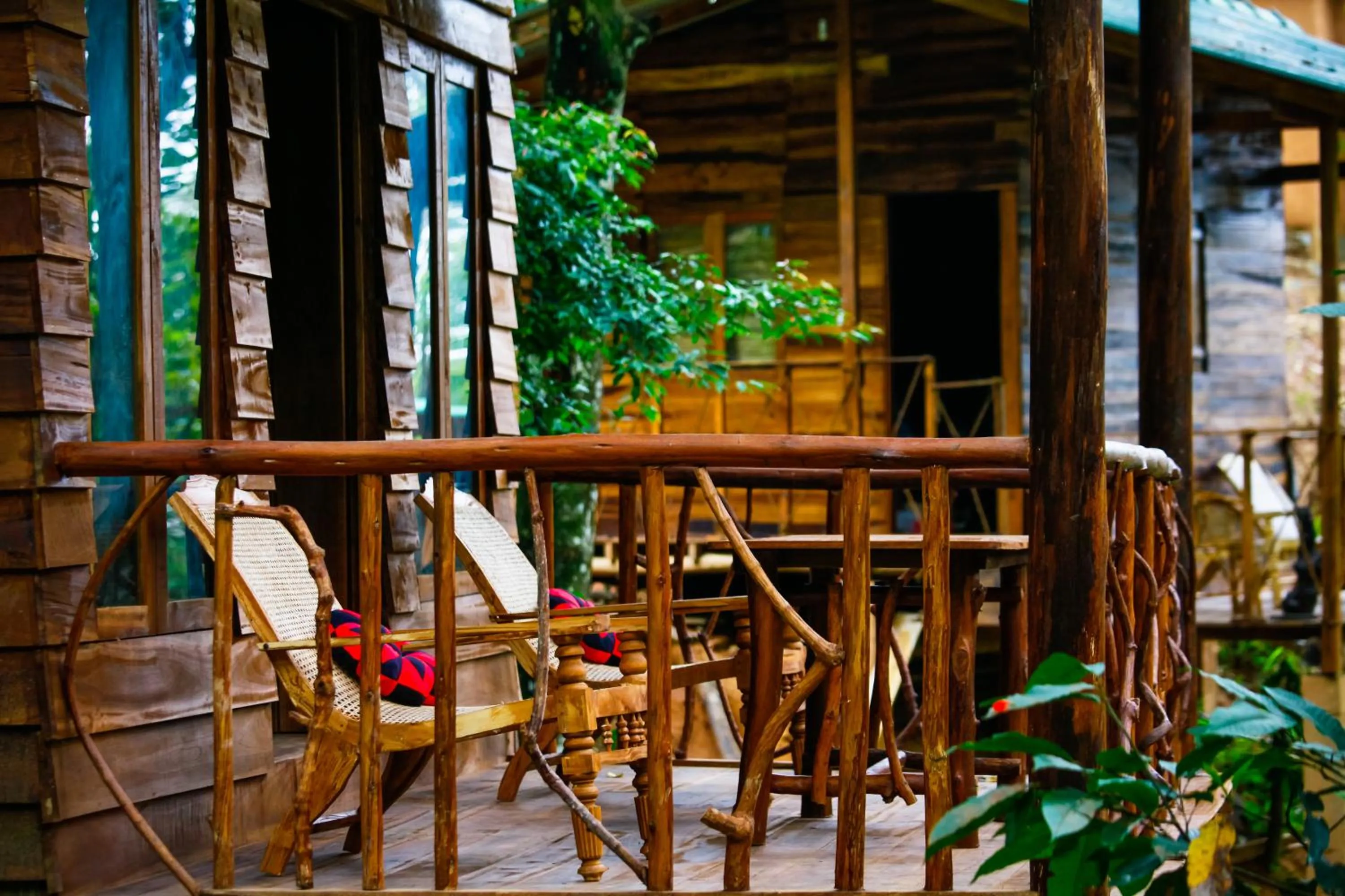 Bird's eye view in Ella Ecolodge