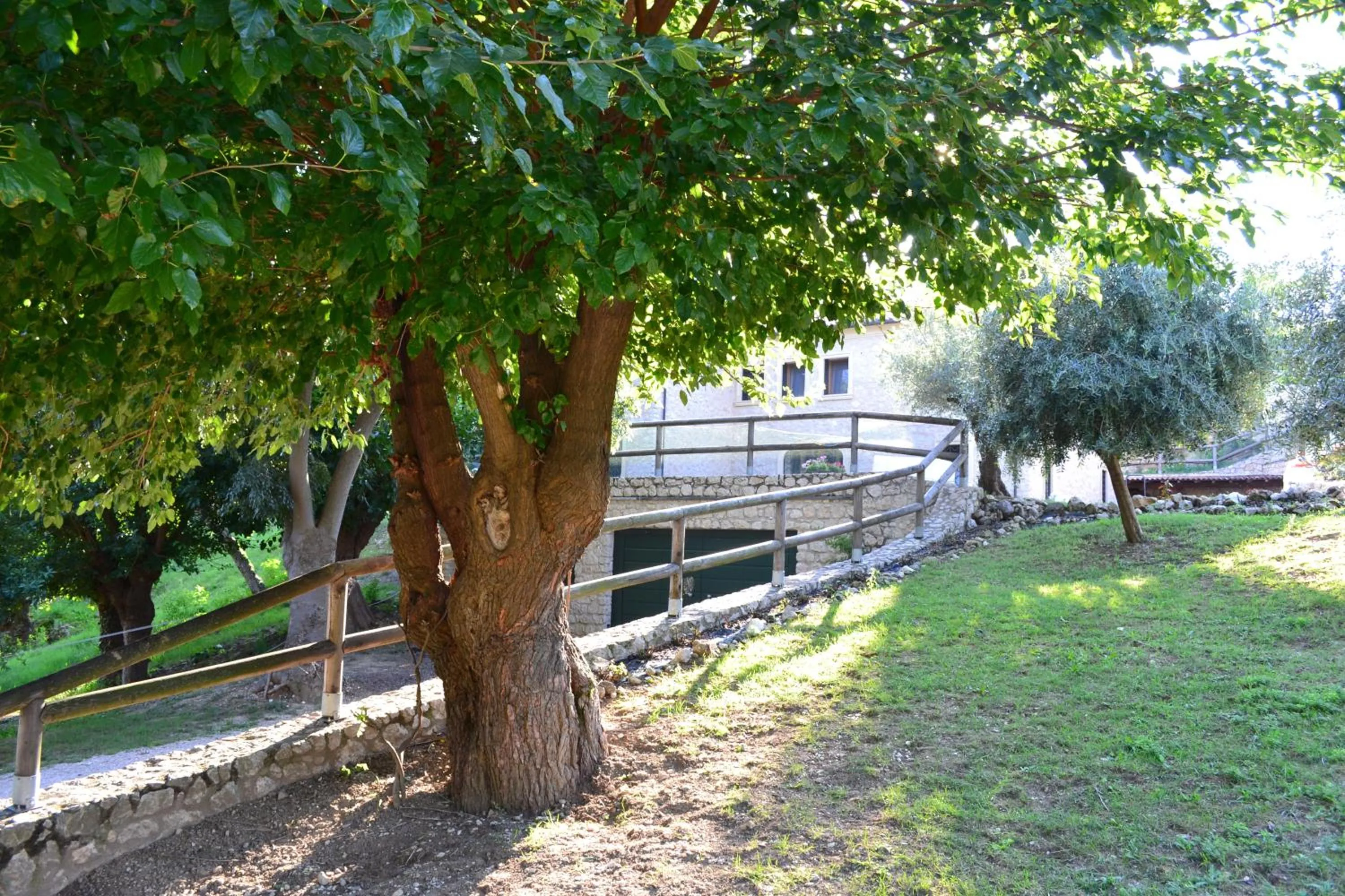 Garden view in Casale La Rocchetta