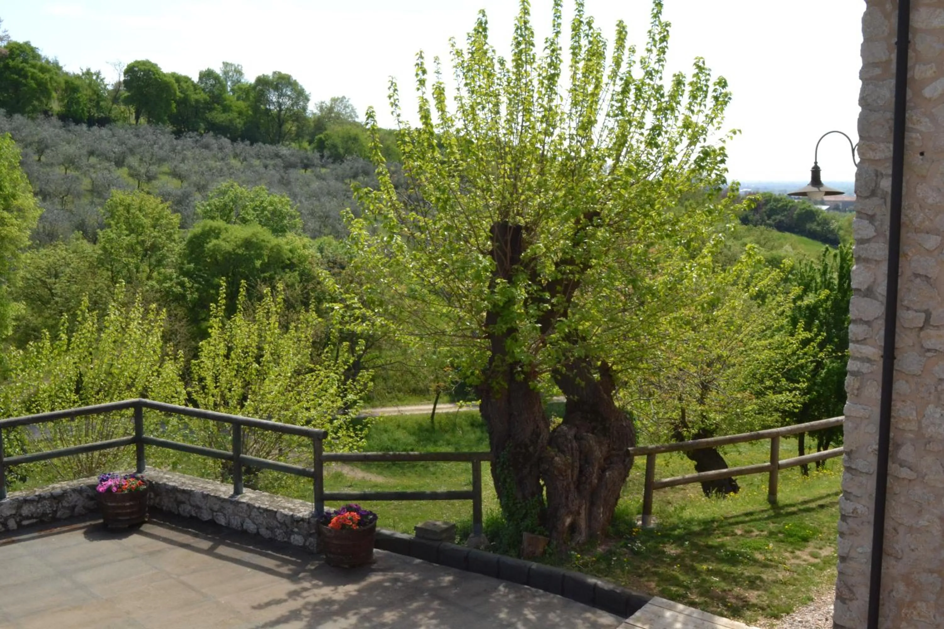 Garden view in Casale La Rocchetta