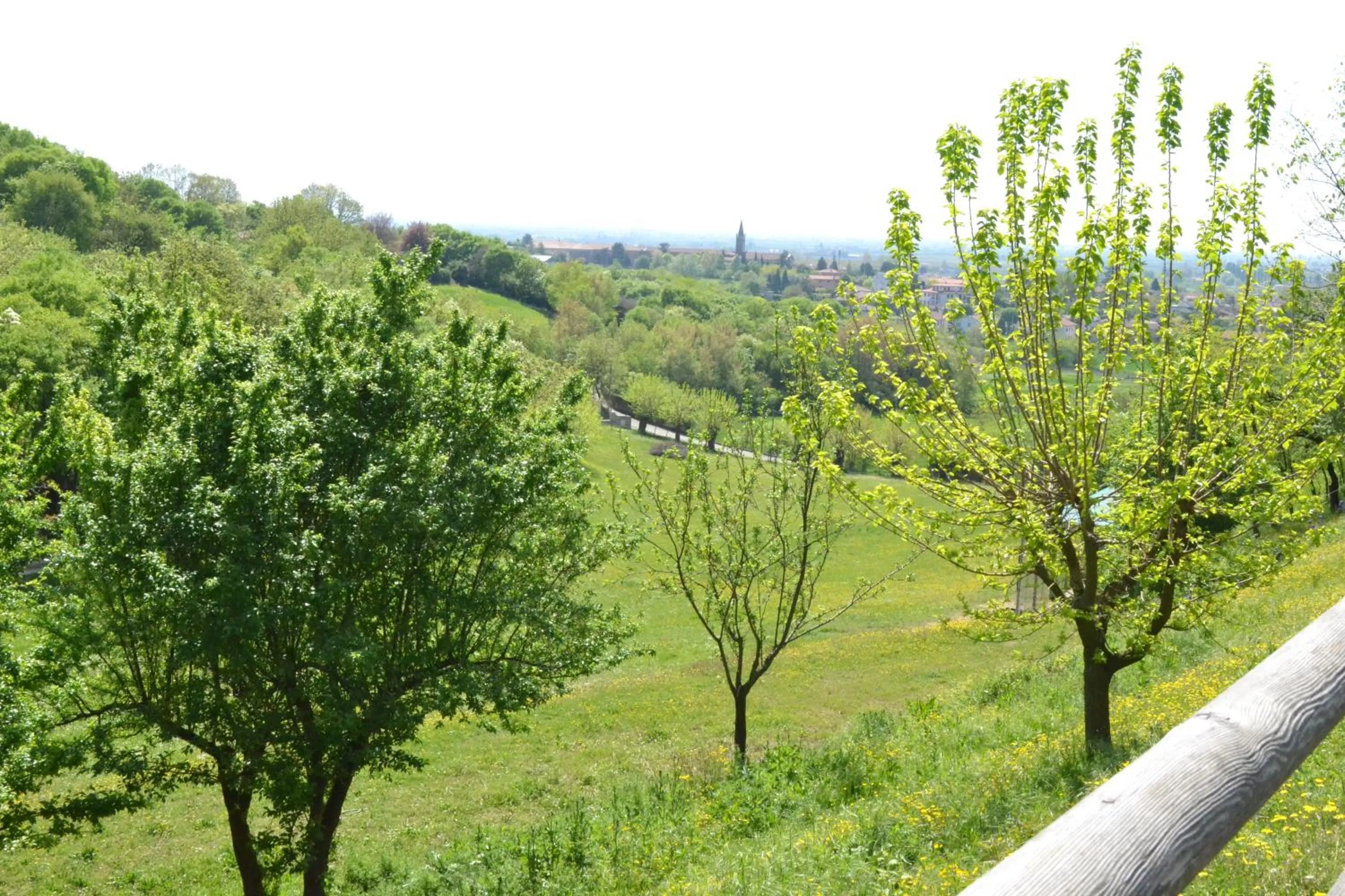 Garden view in Casale La Rocchetta
