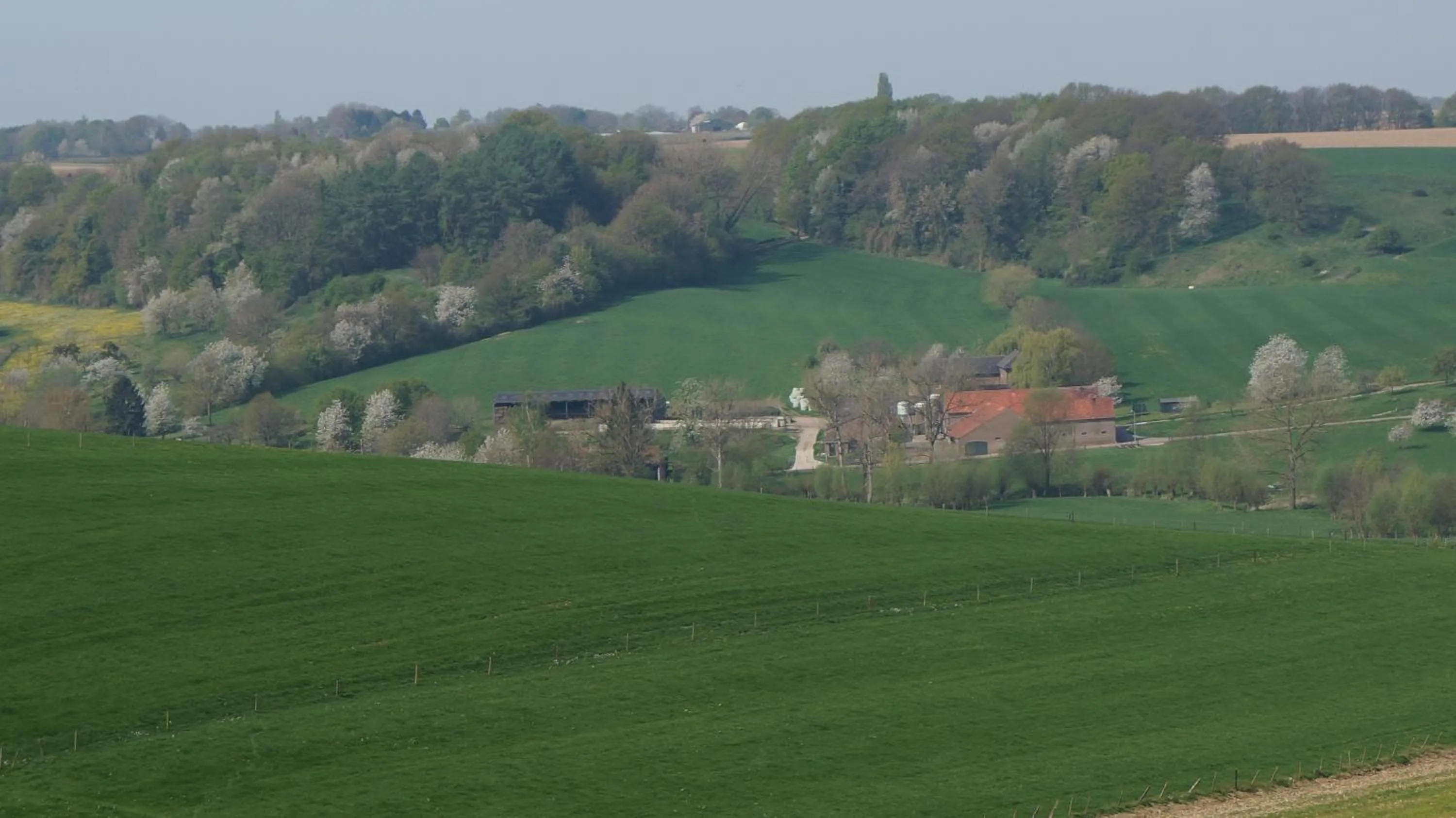 Day in Hotel De Lange Akker