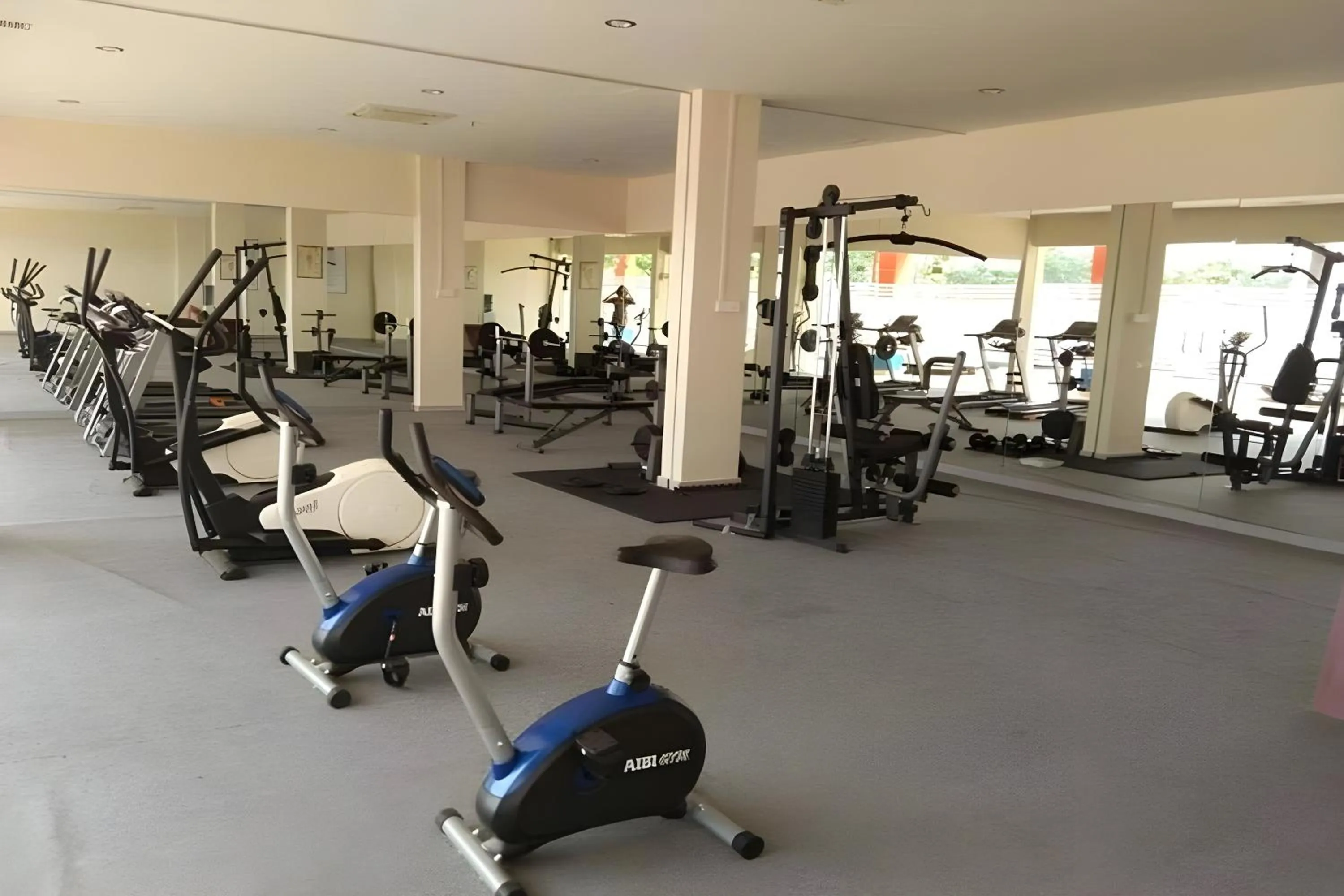 Fitness centre/facilities in D'MERLION HOTEL