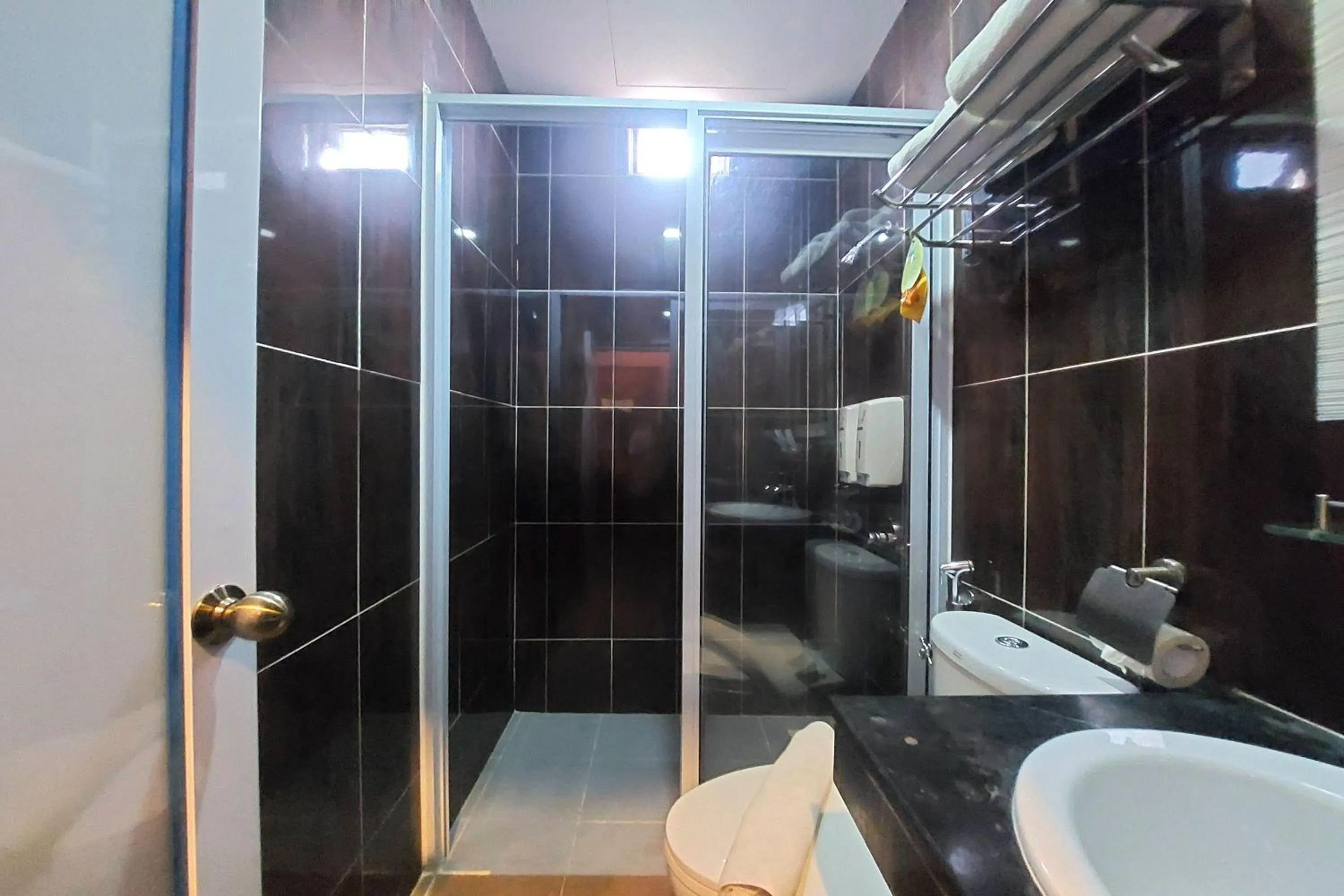 Bathroom in D'MERLION HOTEL
