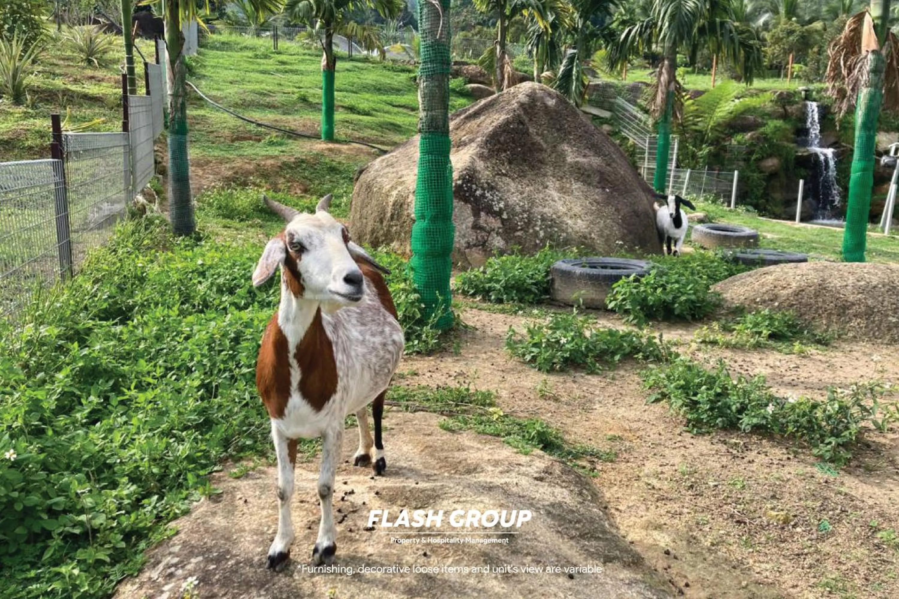 Enclave Premium Suites at Bukit Tinggi