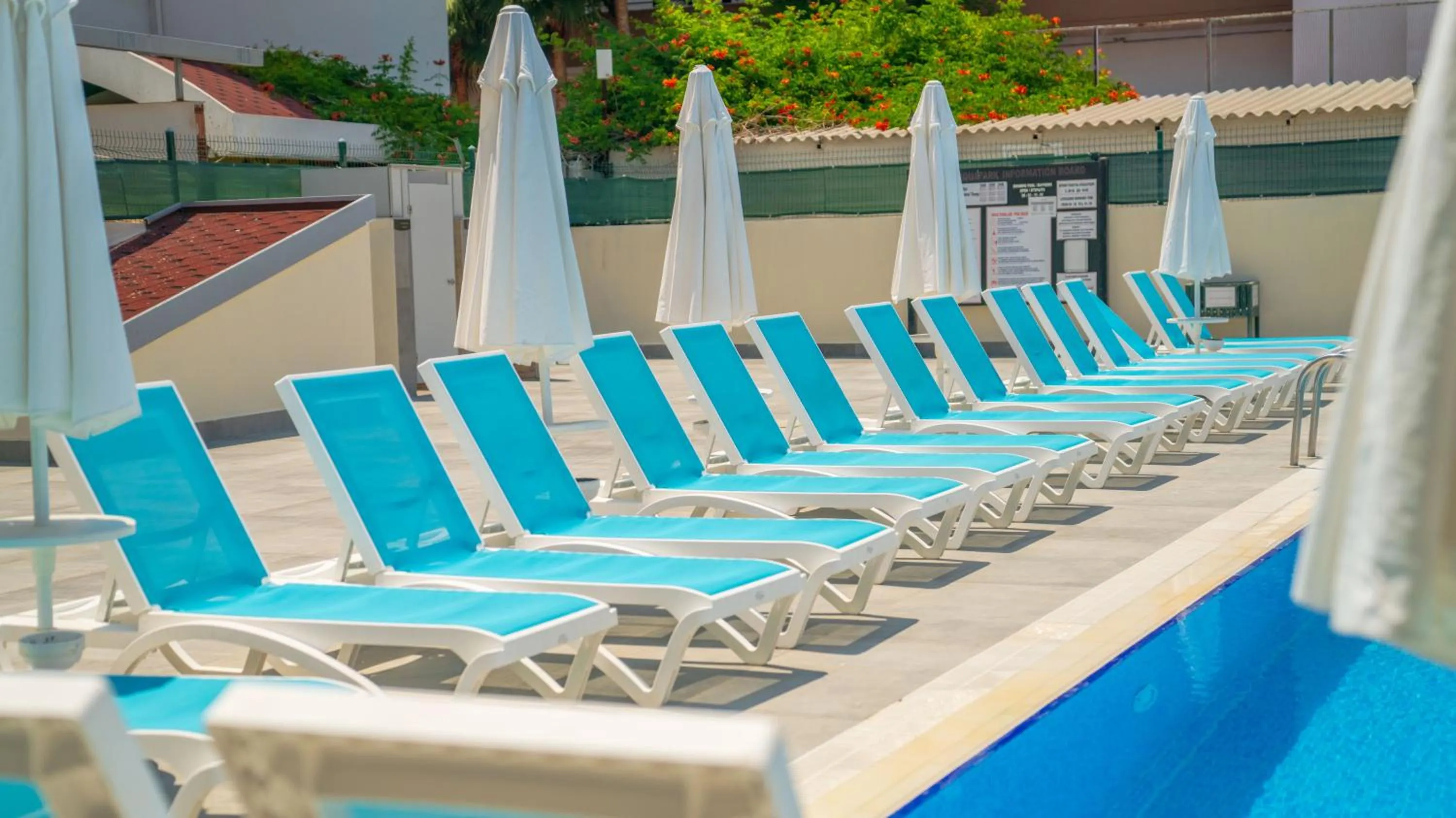 sunbed in SEA BIRD BEACH