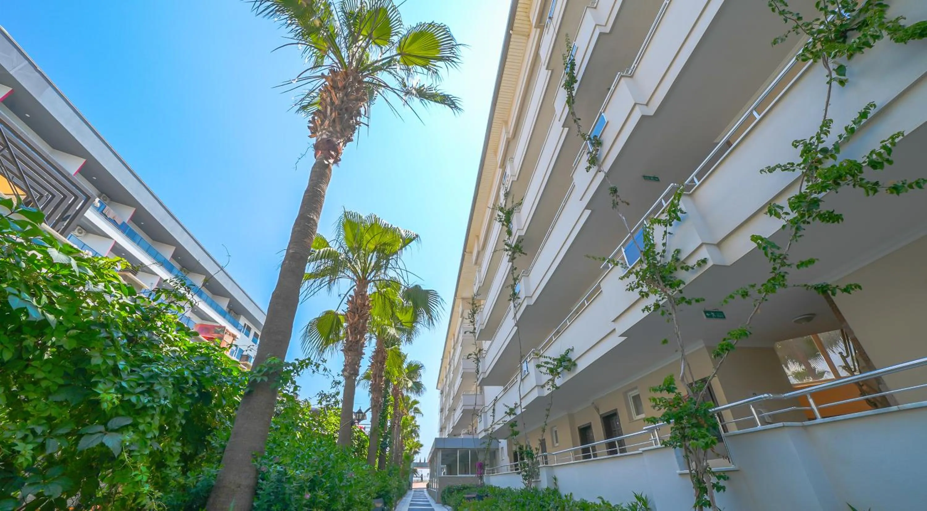 Garden in SEA BIRD BEACH