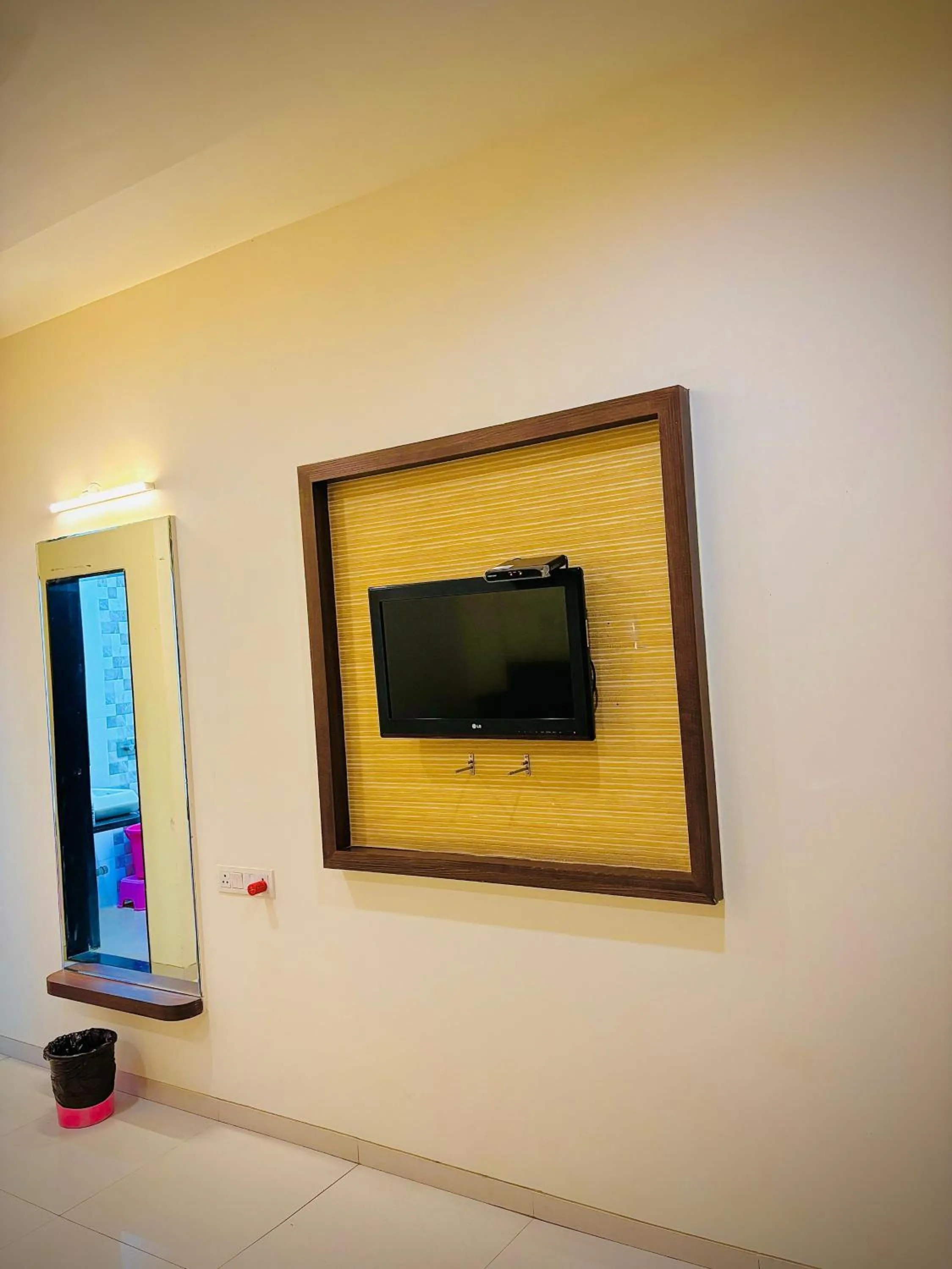 TV and multimedia in Hotel Sai Shree