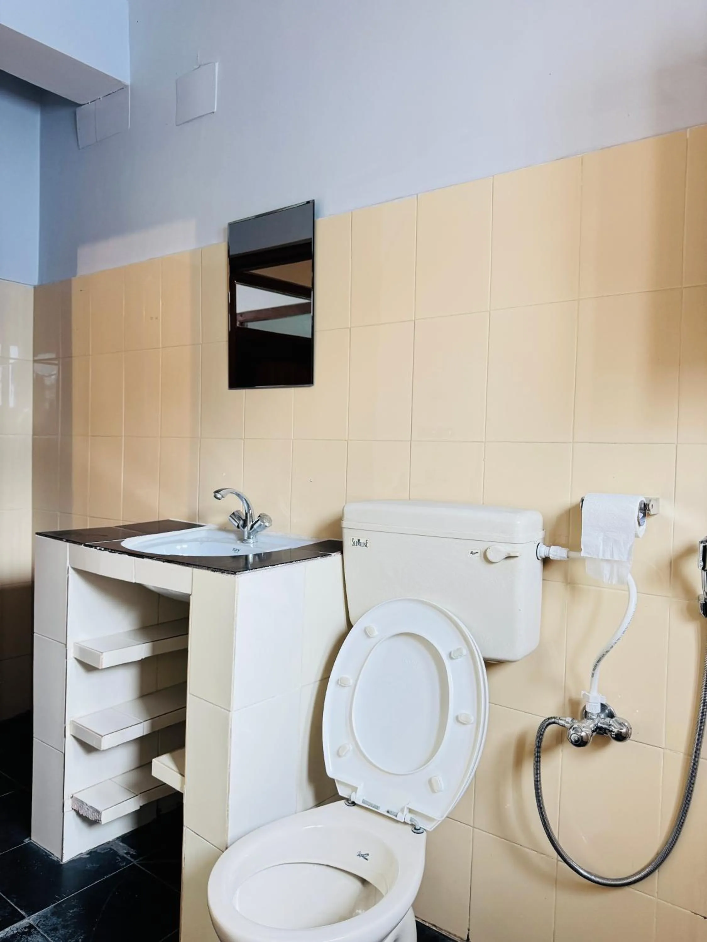 Toilet in Roamers Inn