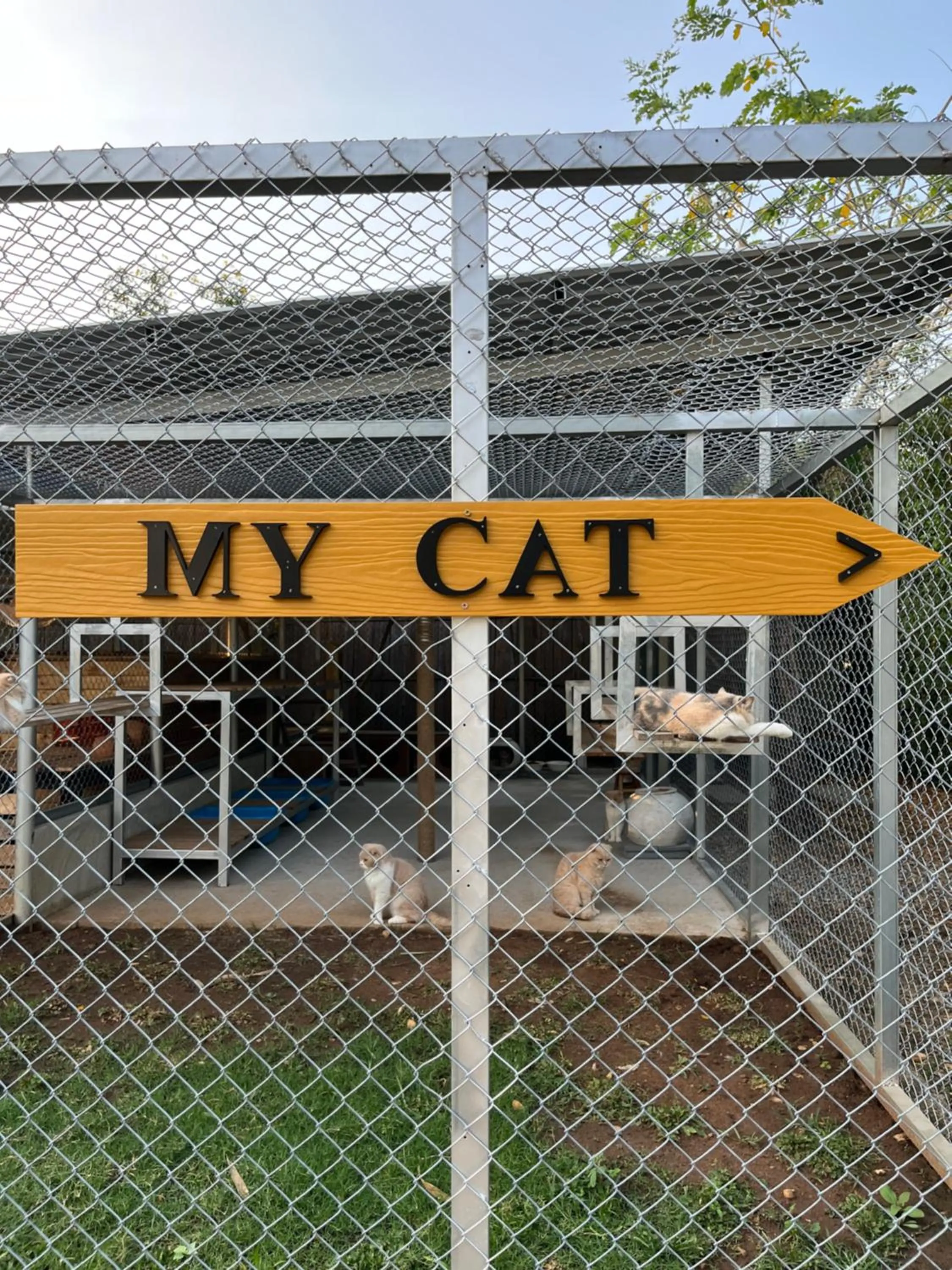 Pets in Isbjorn chiangdao