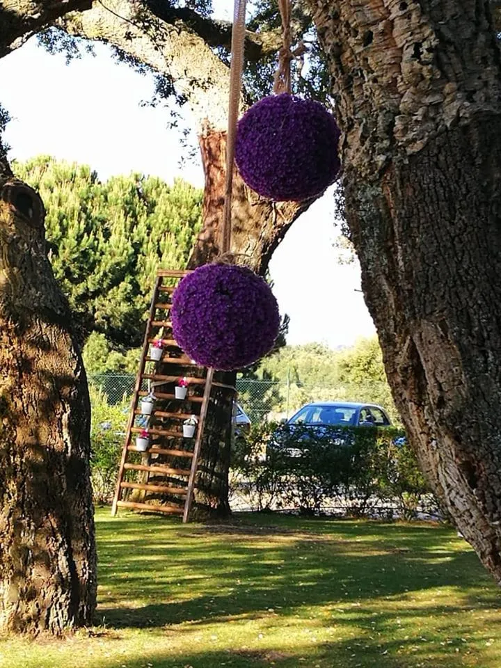Garden in Quinta Lagus Resort - Casa de Campo