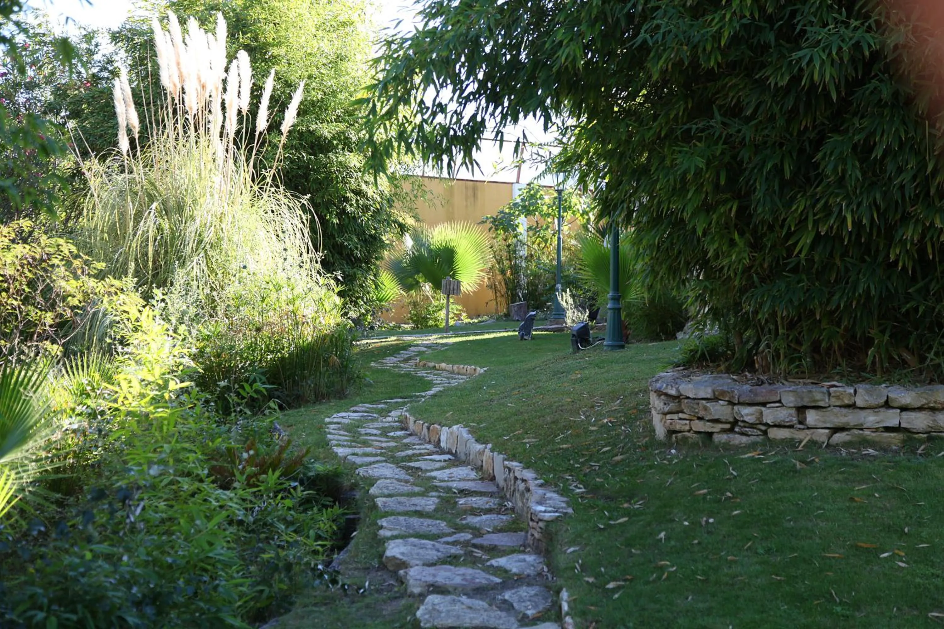Garden in Quinta Lagus Resort - Casa de Campo