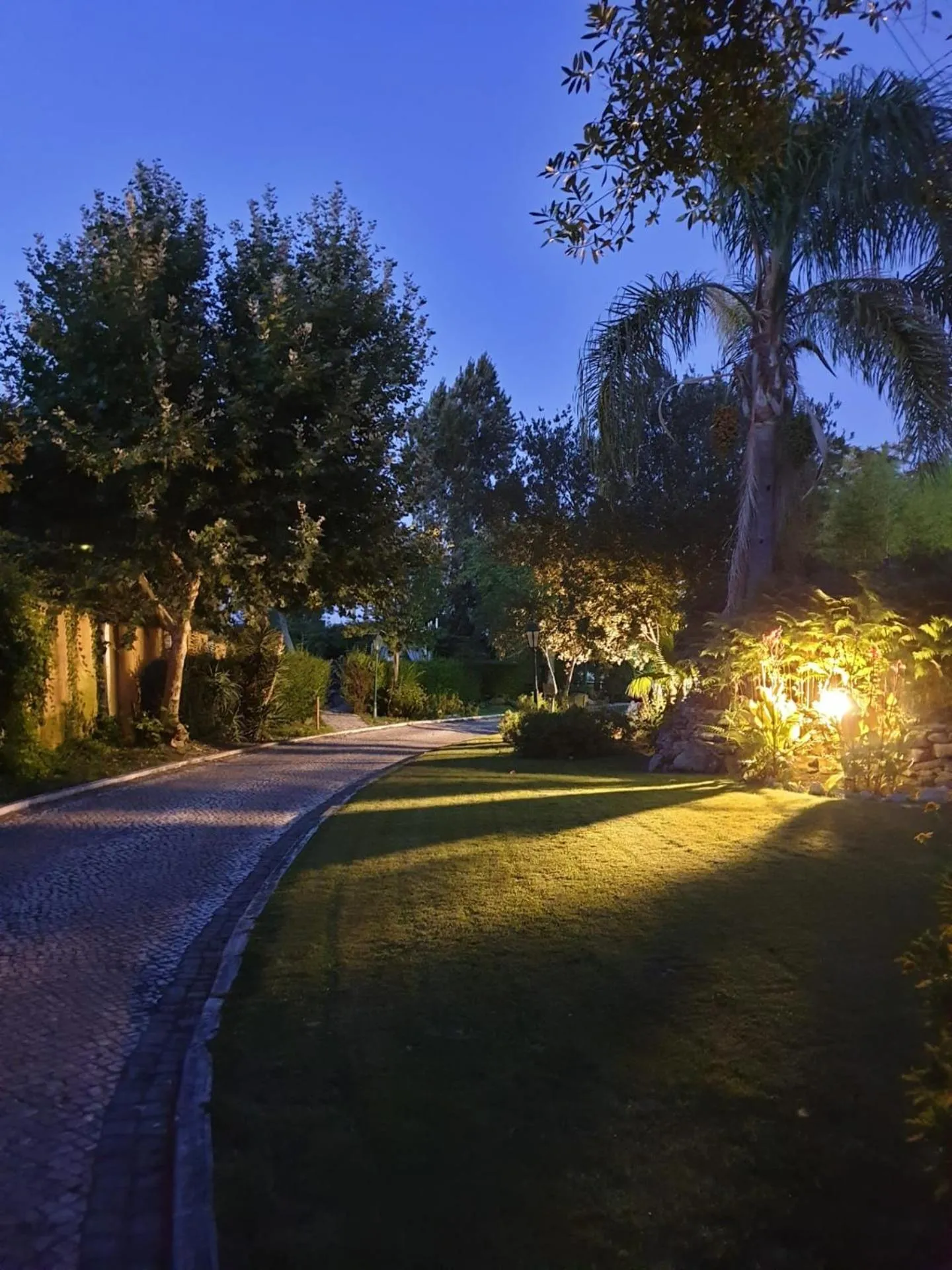 Garden in Quinta Lagus Resort - Casa de Campo