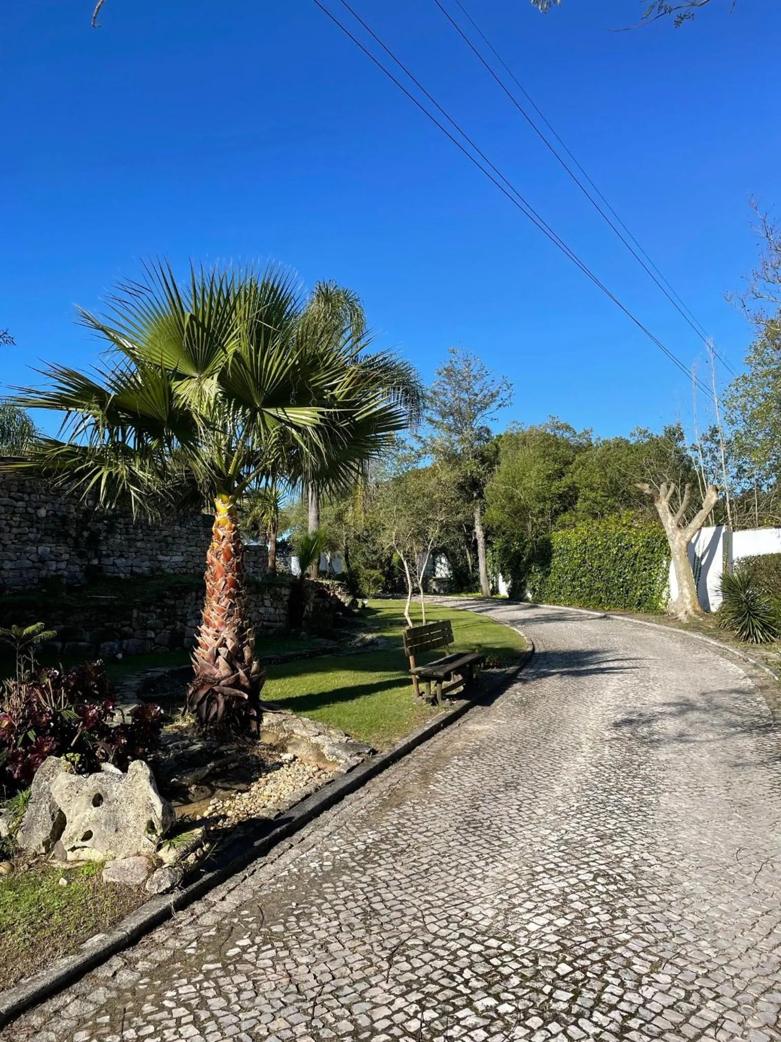 Quinta Lagus Resort - Casa de Campo