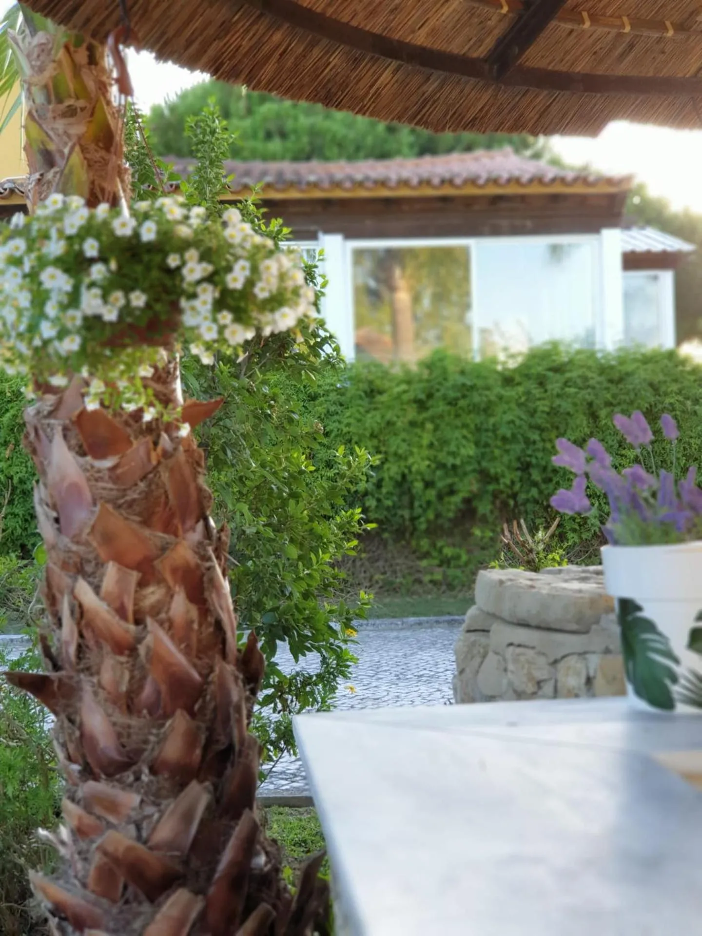 Garden in Quinta Lagus Resort - Casa de Campo