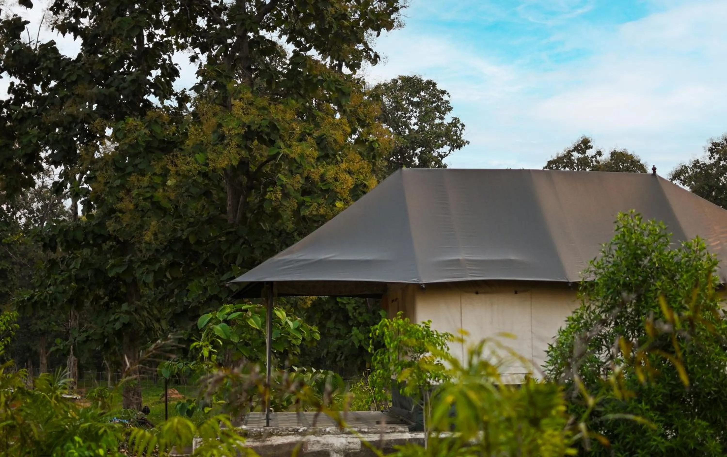 View (from property/room) in Bundeli Camps and Resorts, Panna