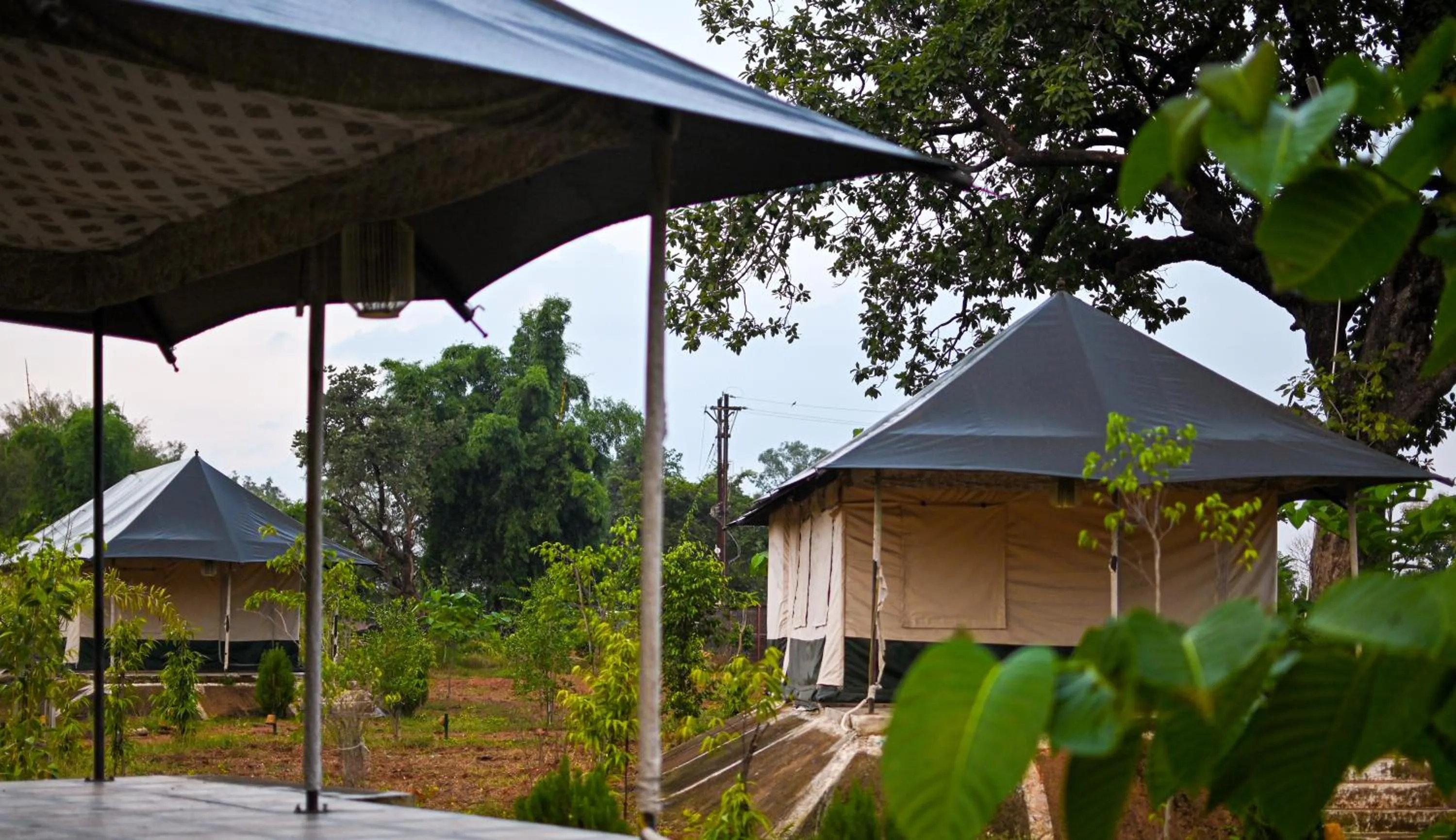 Bundeli Camps and Resorts, Panna