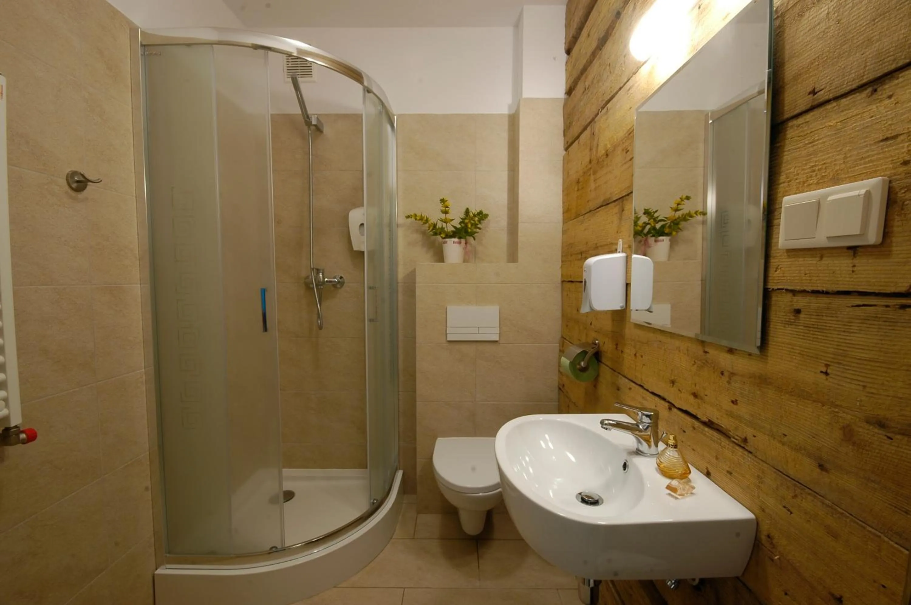 Bathroom in Dom na Skale - Apartamenty w Bieszczadach nad Soliną