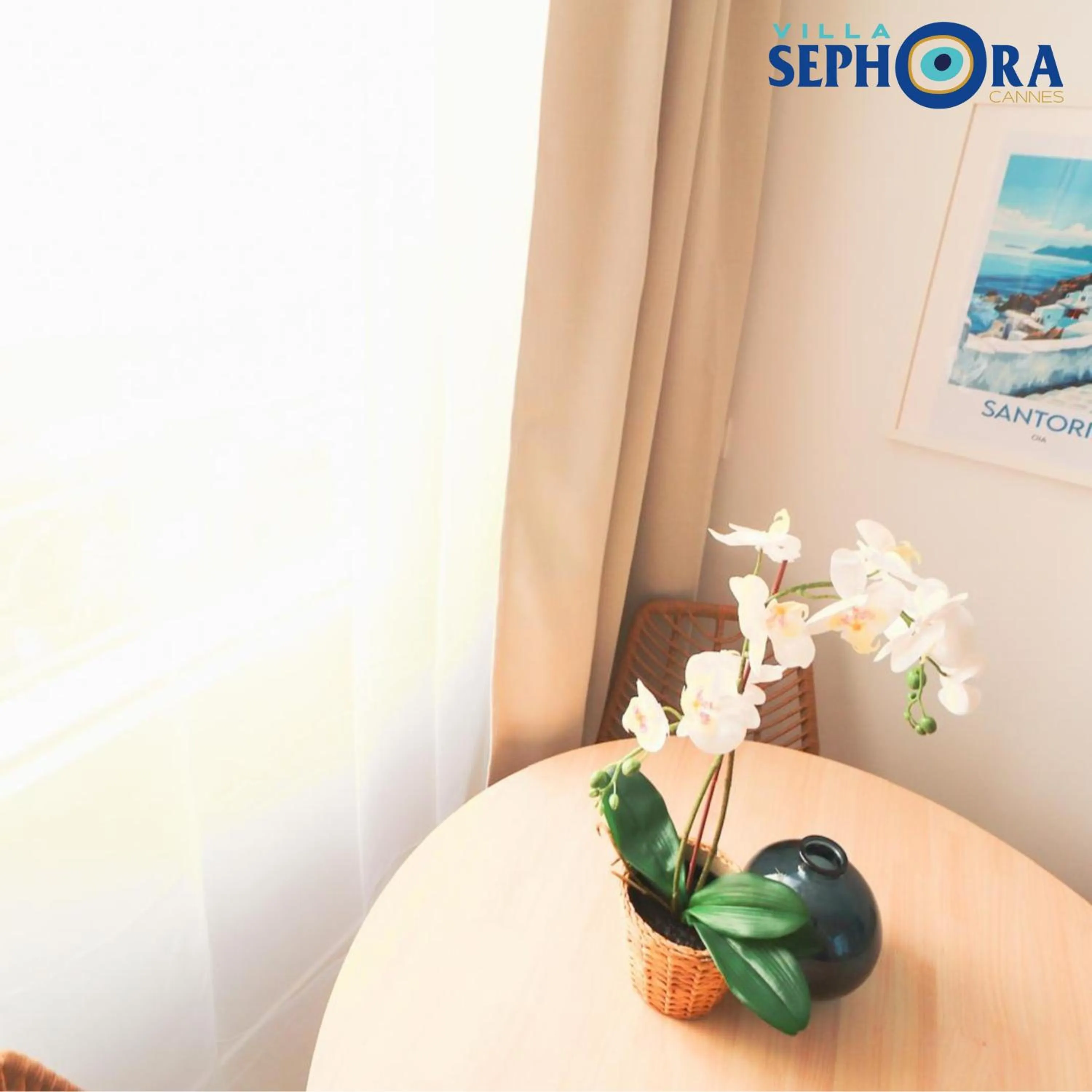 Communal lounge/ TV room in VILLA SEPHORA CANNES