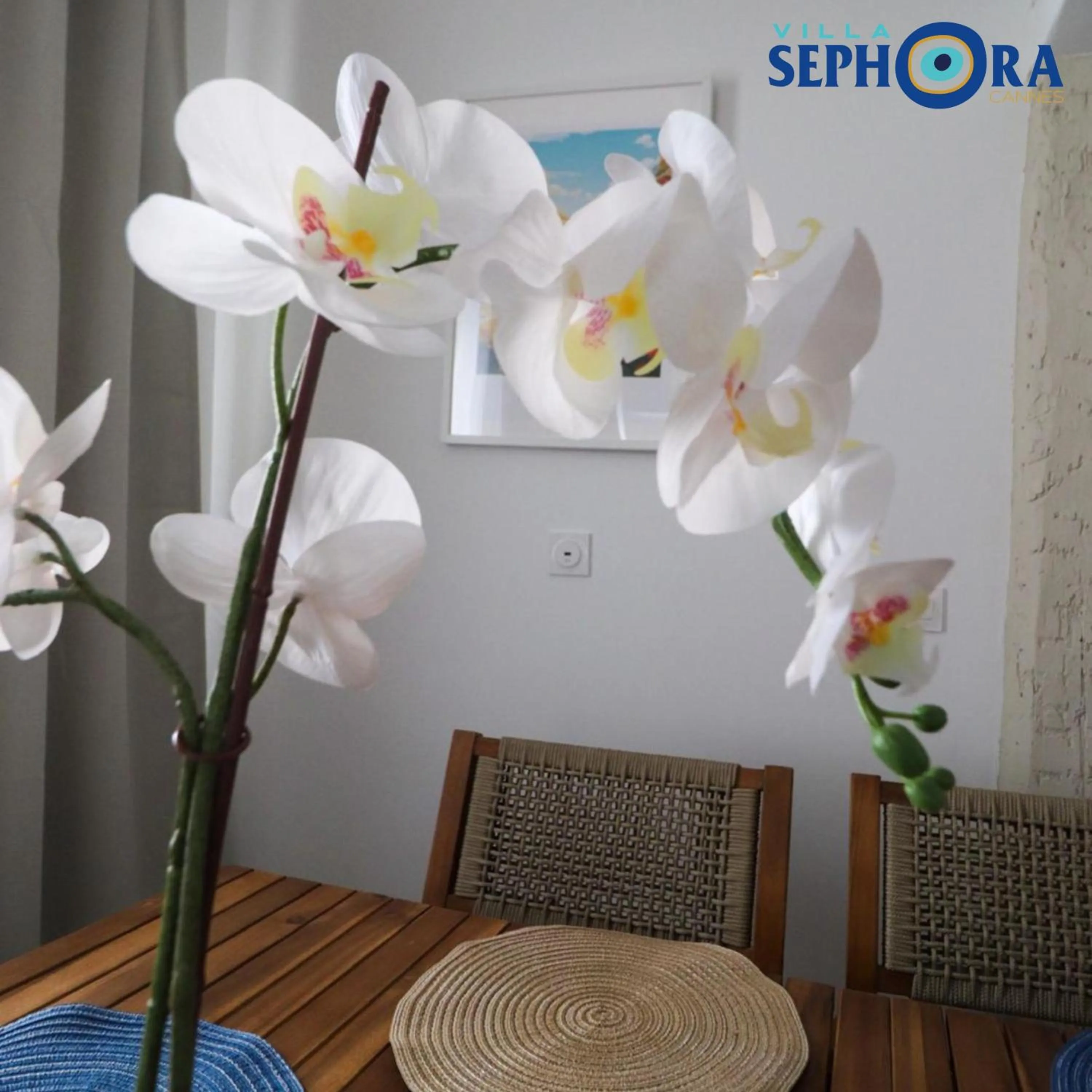 Living room in VILLA SEPHORA CANNES