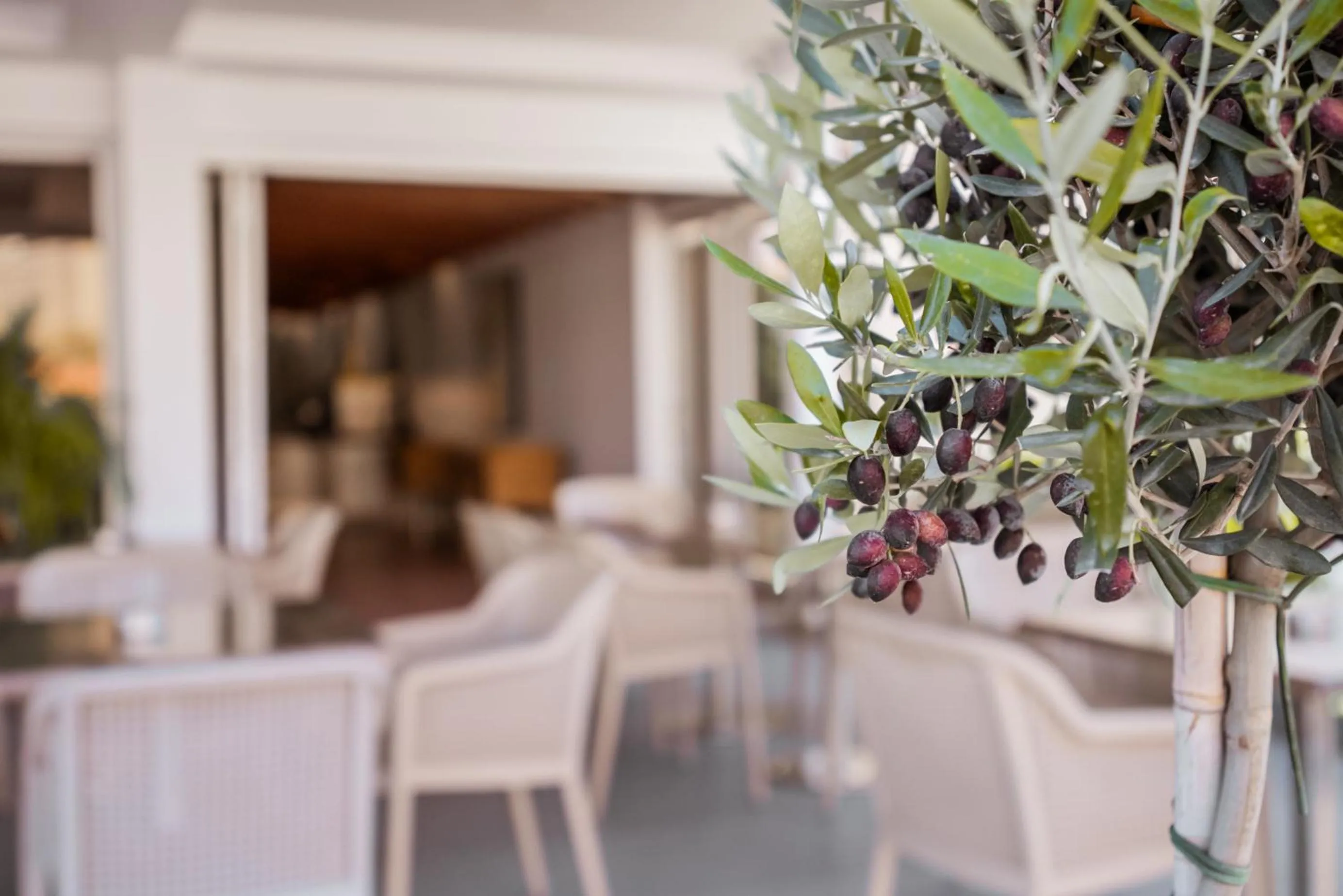 Restaurant/places to eat in Paul Marie Hotel Apartments