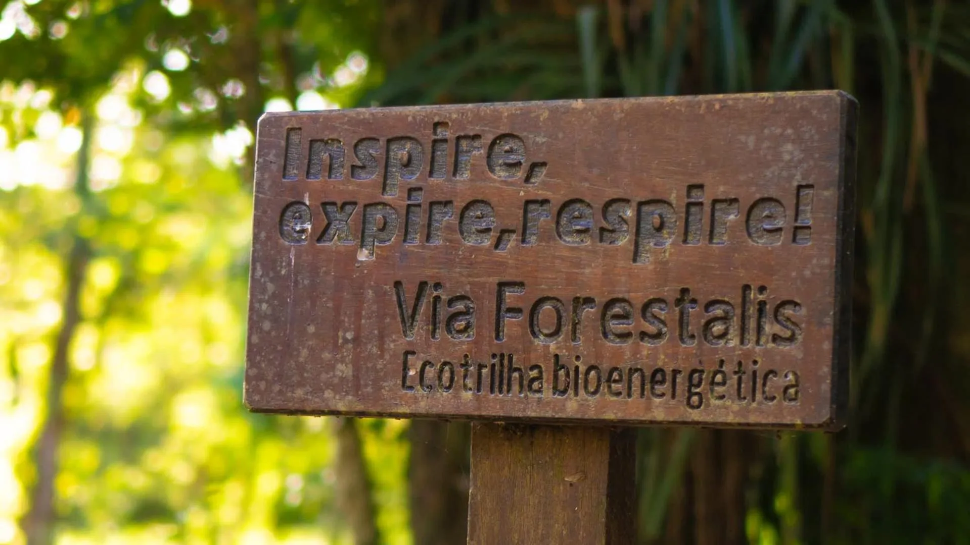 Hiking in Interludium Iguassu Convention Hotel