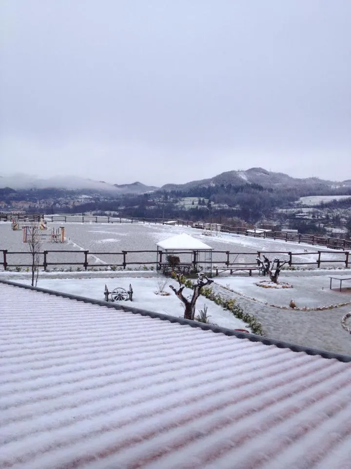 Horse-riding in Relais Black Horse