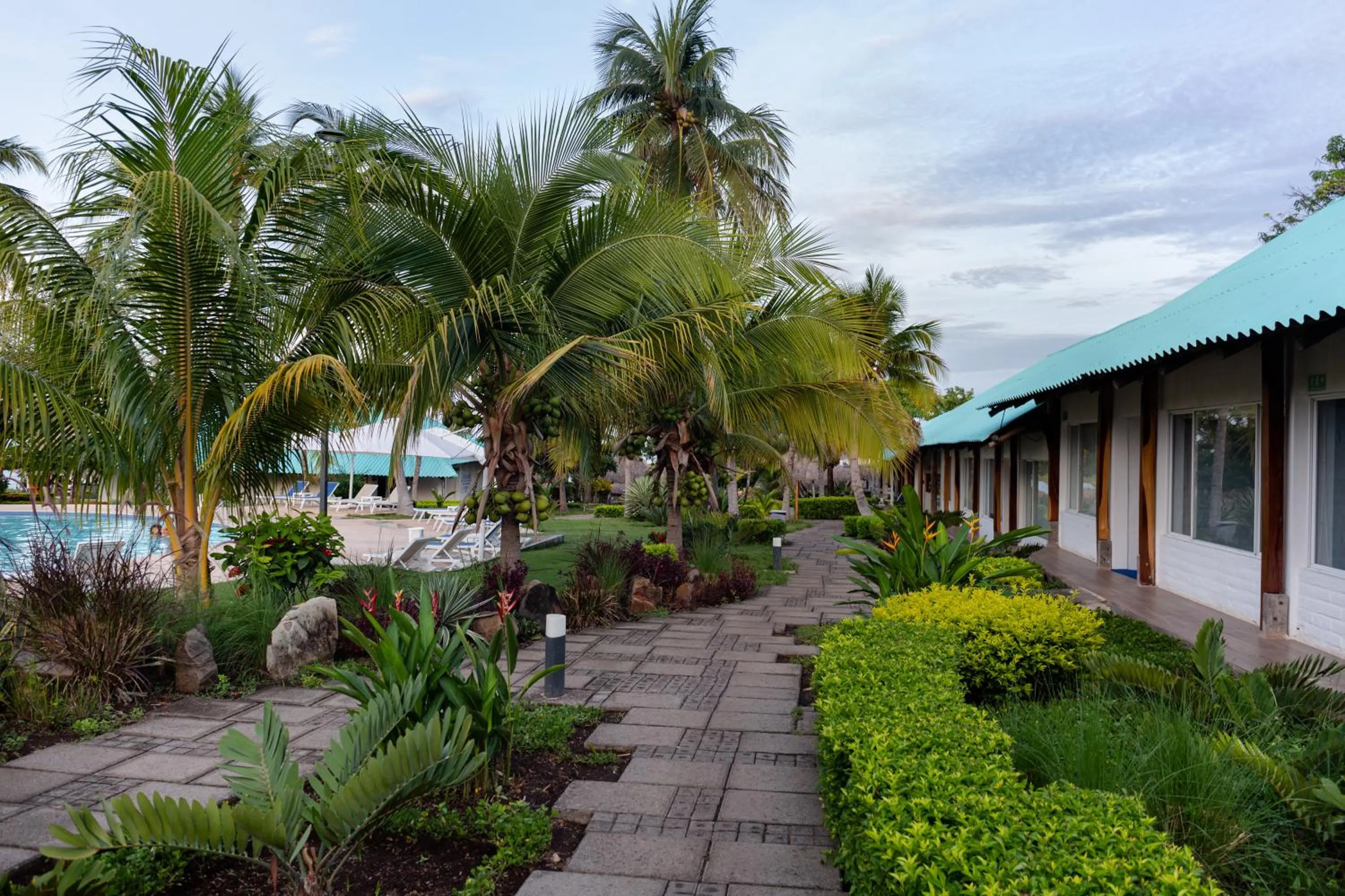 Pool view in Atami Escape Resort