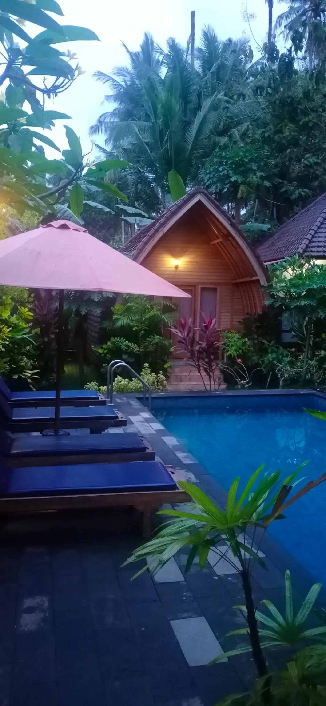 Garden view in Visual inn