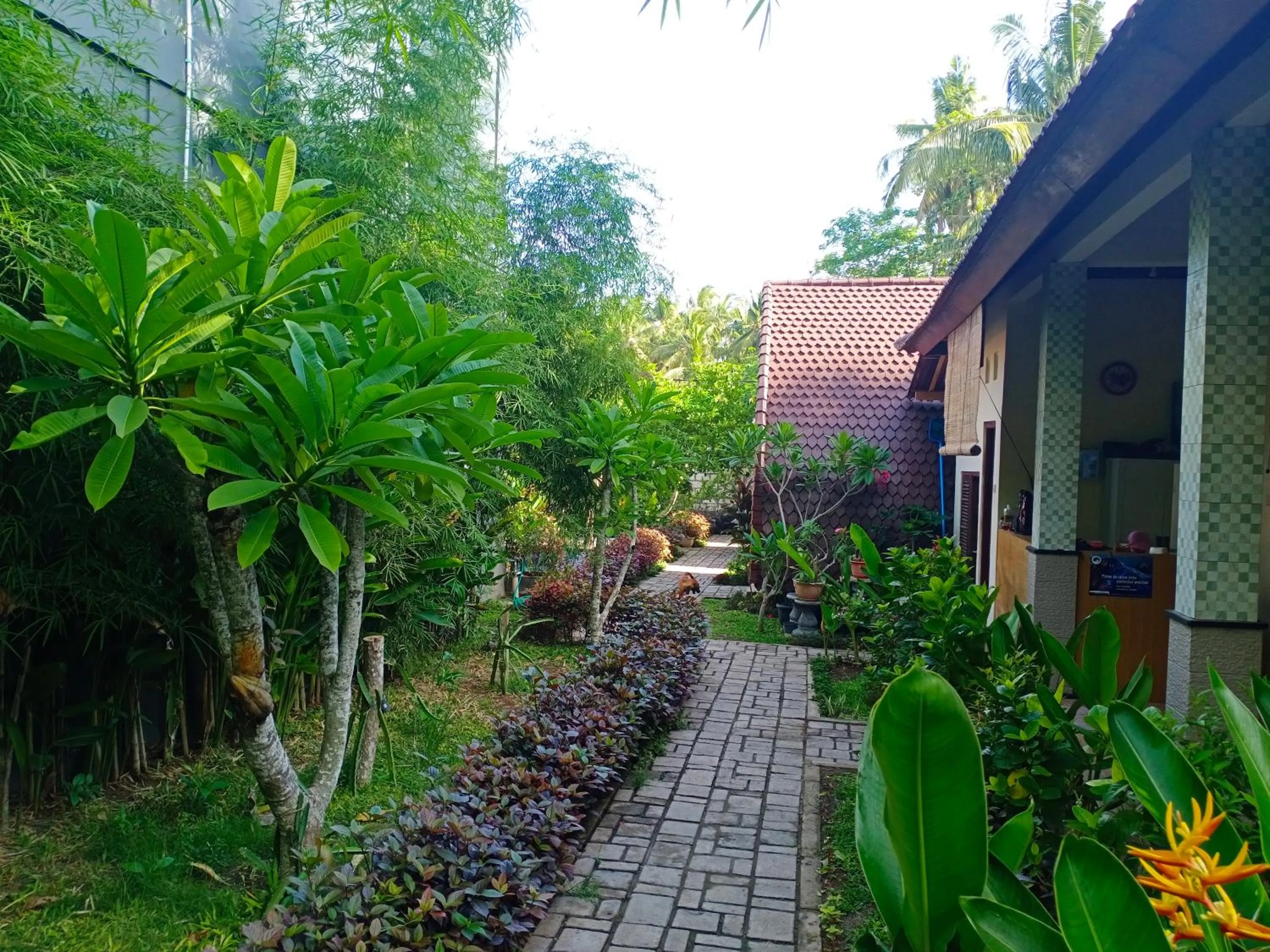 Garden in Visual inn