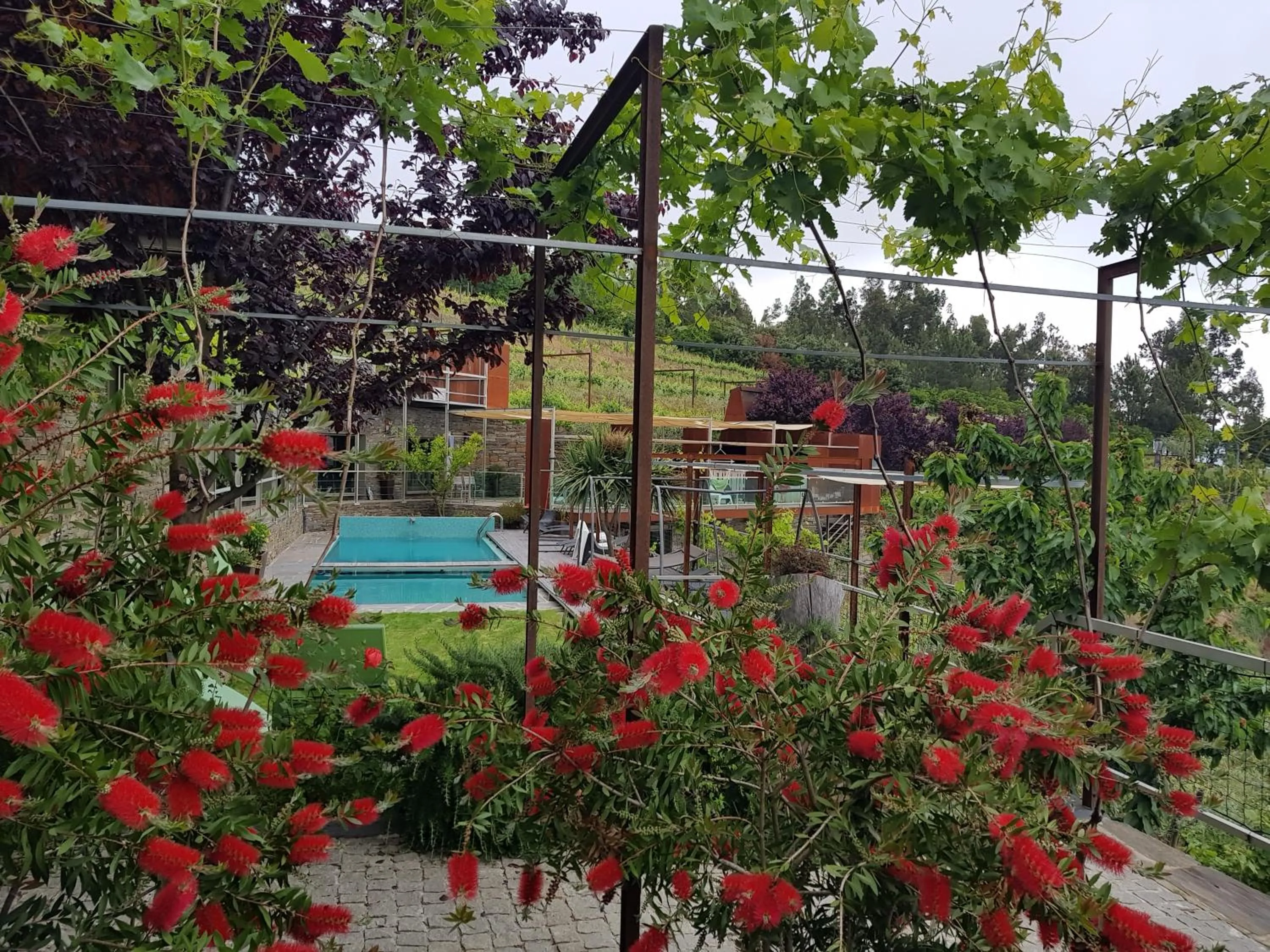 Activities in Vila Marim Country Houses