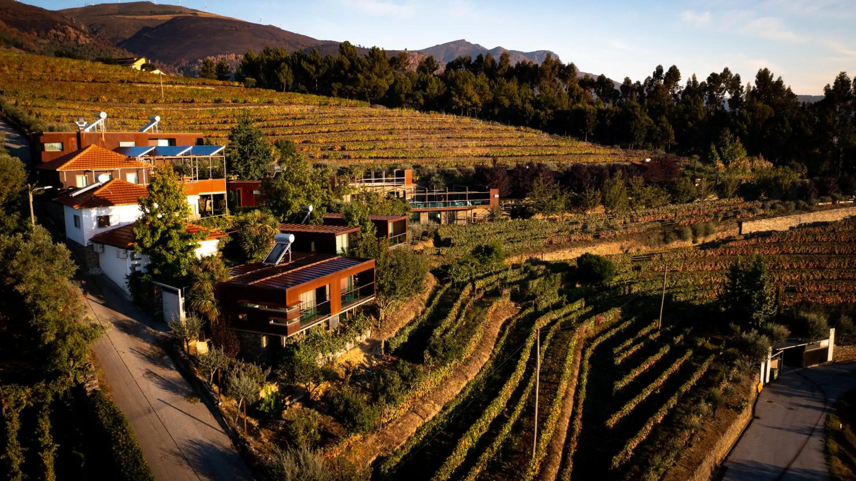 Bird's eye view in Vila Marim Country Houses