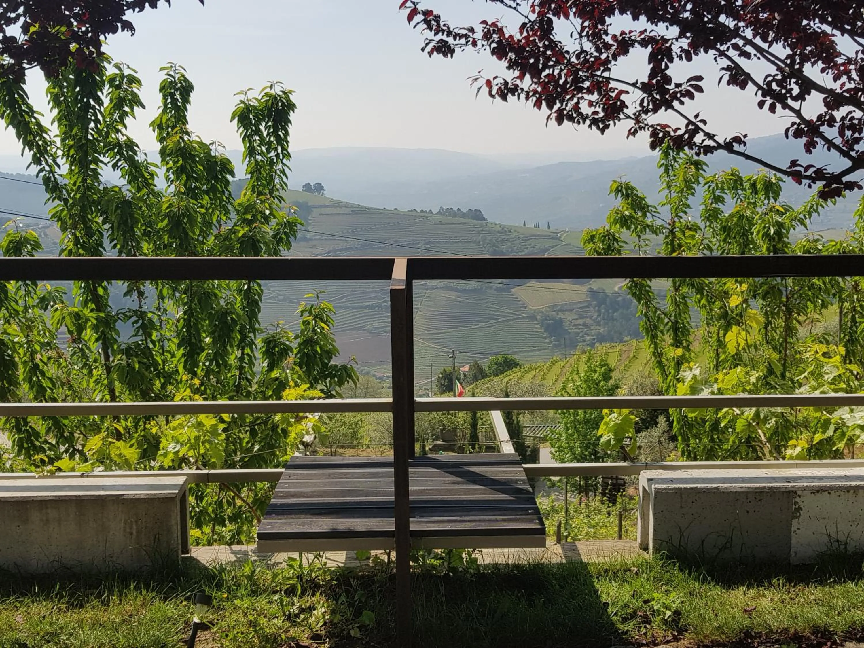 Natural landscape in Vila Marim Country Houses