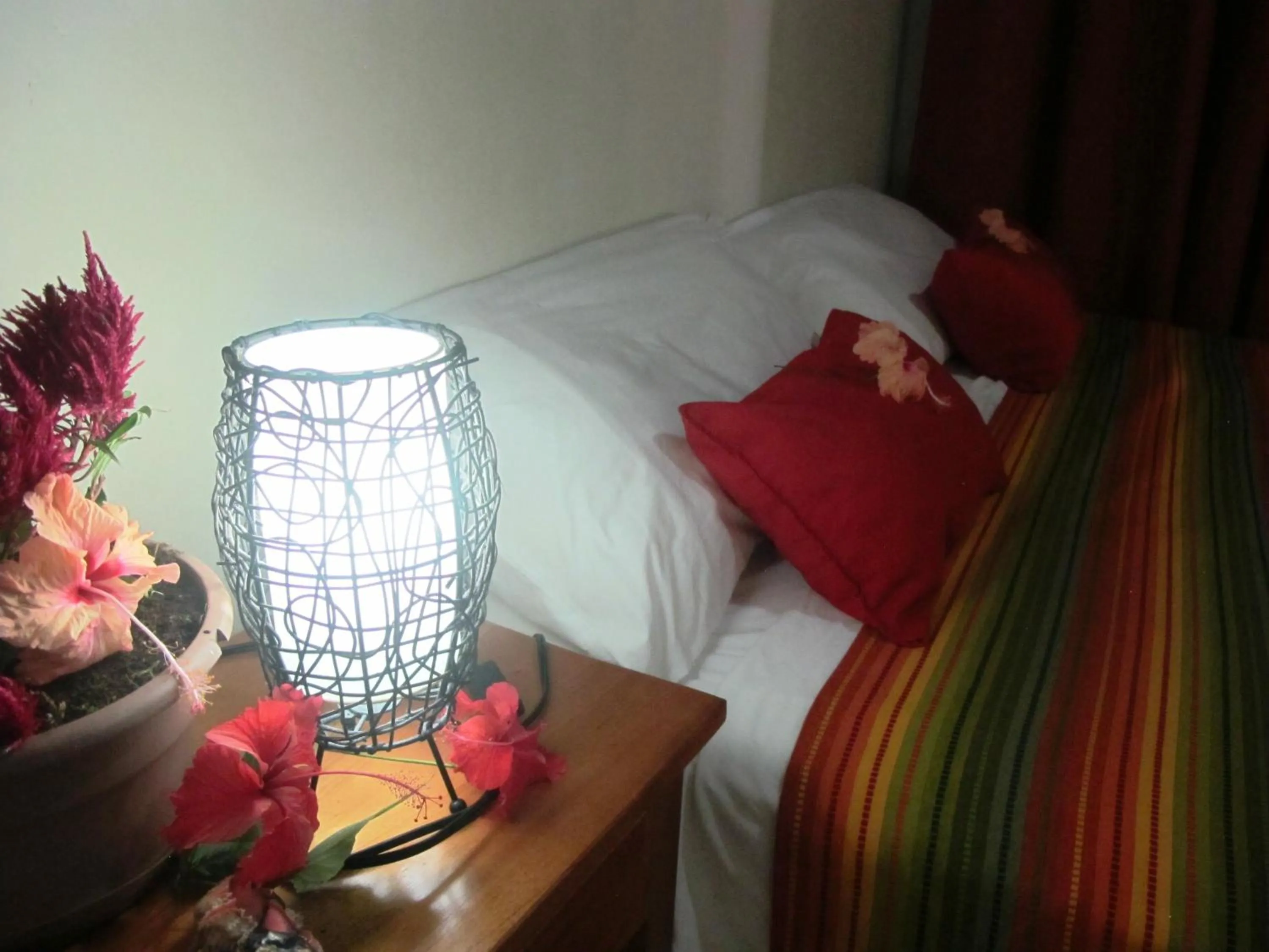 Bed in Hotel Iguanito