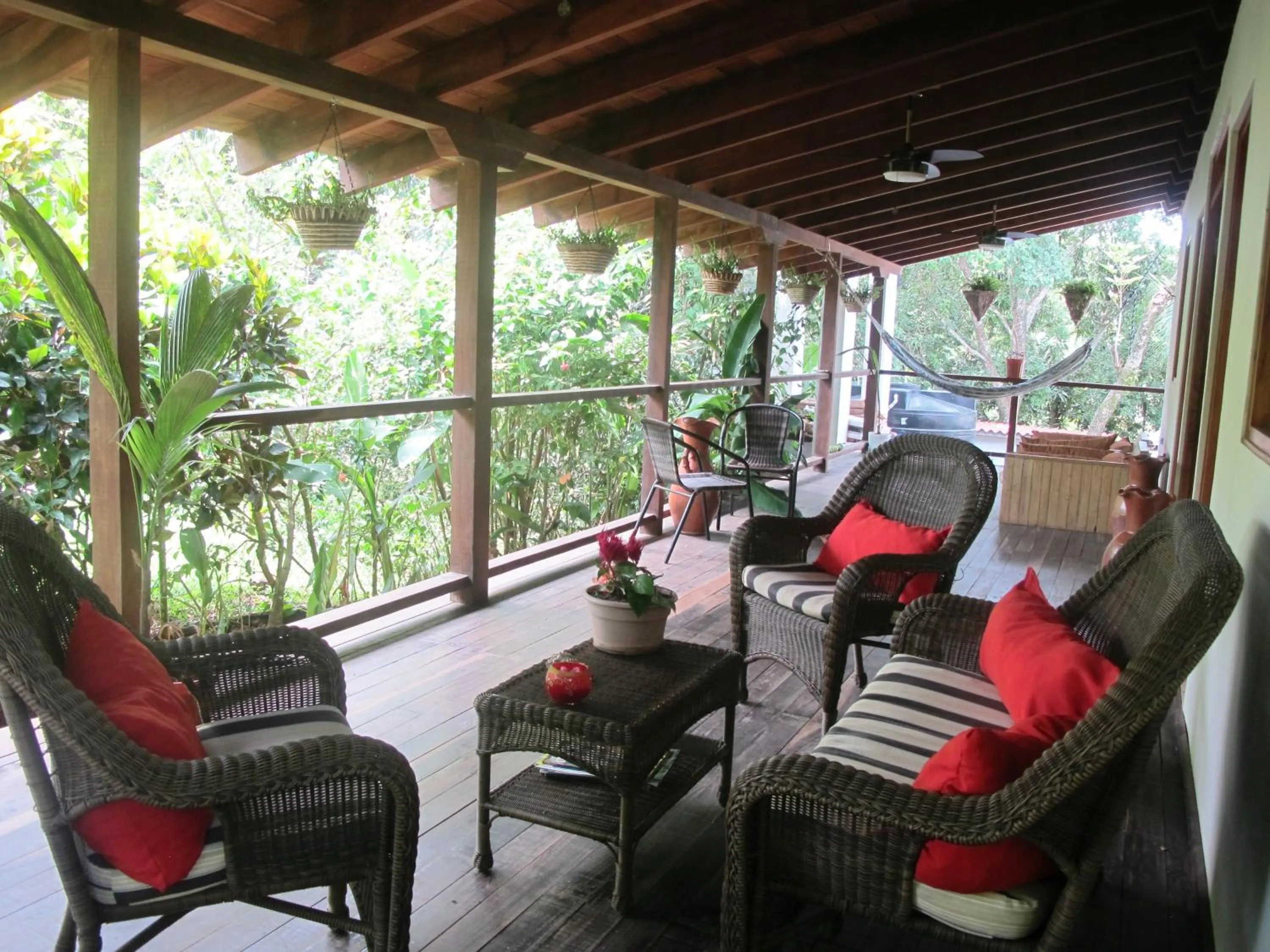 Balcony/Terrace in Hotel Iguanito