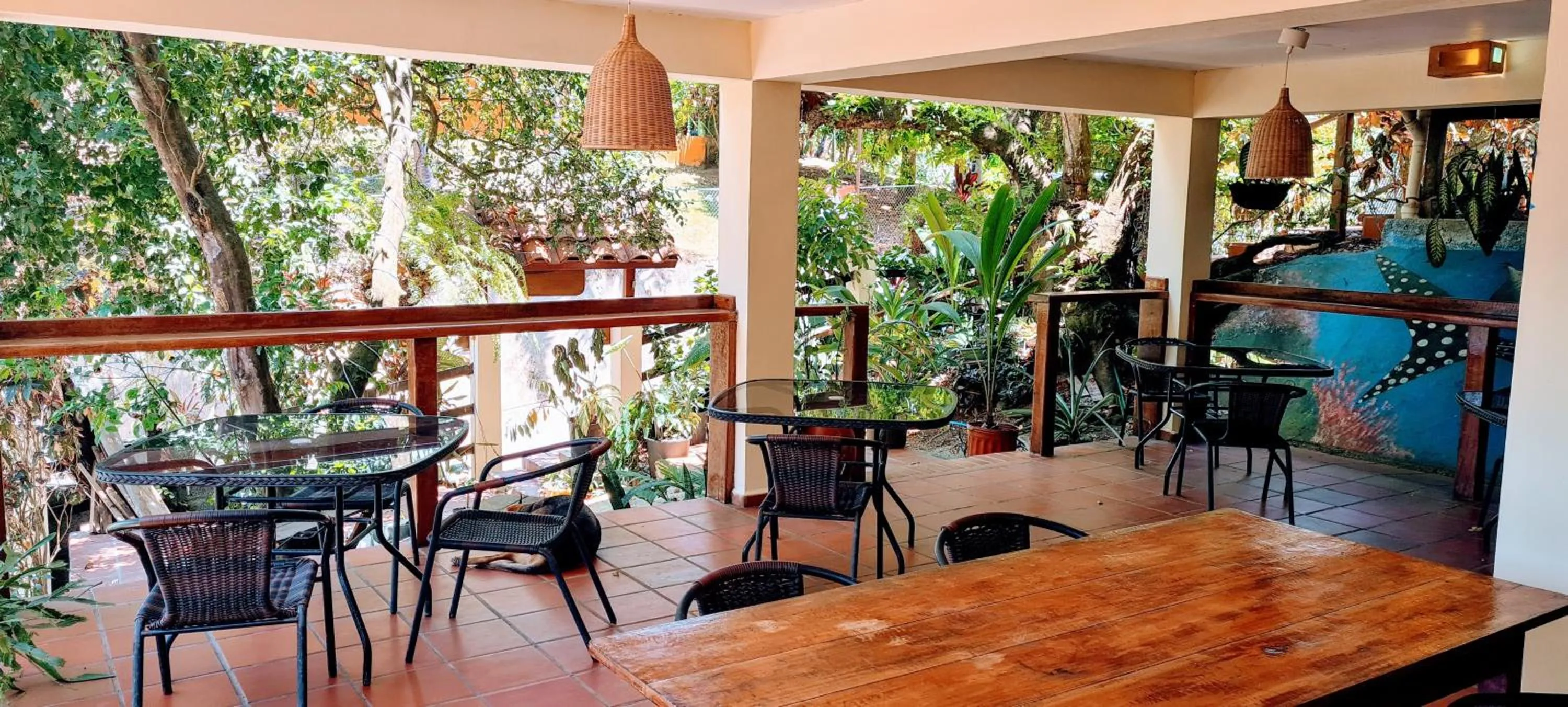 Restaurant/places to eat in Hotel Iguanito